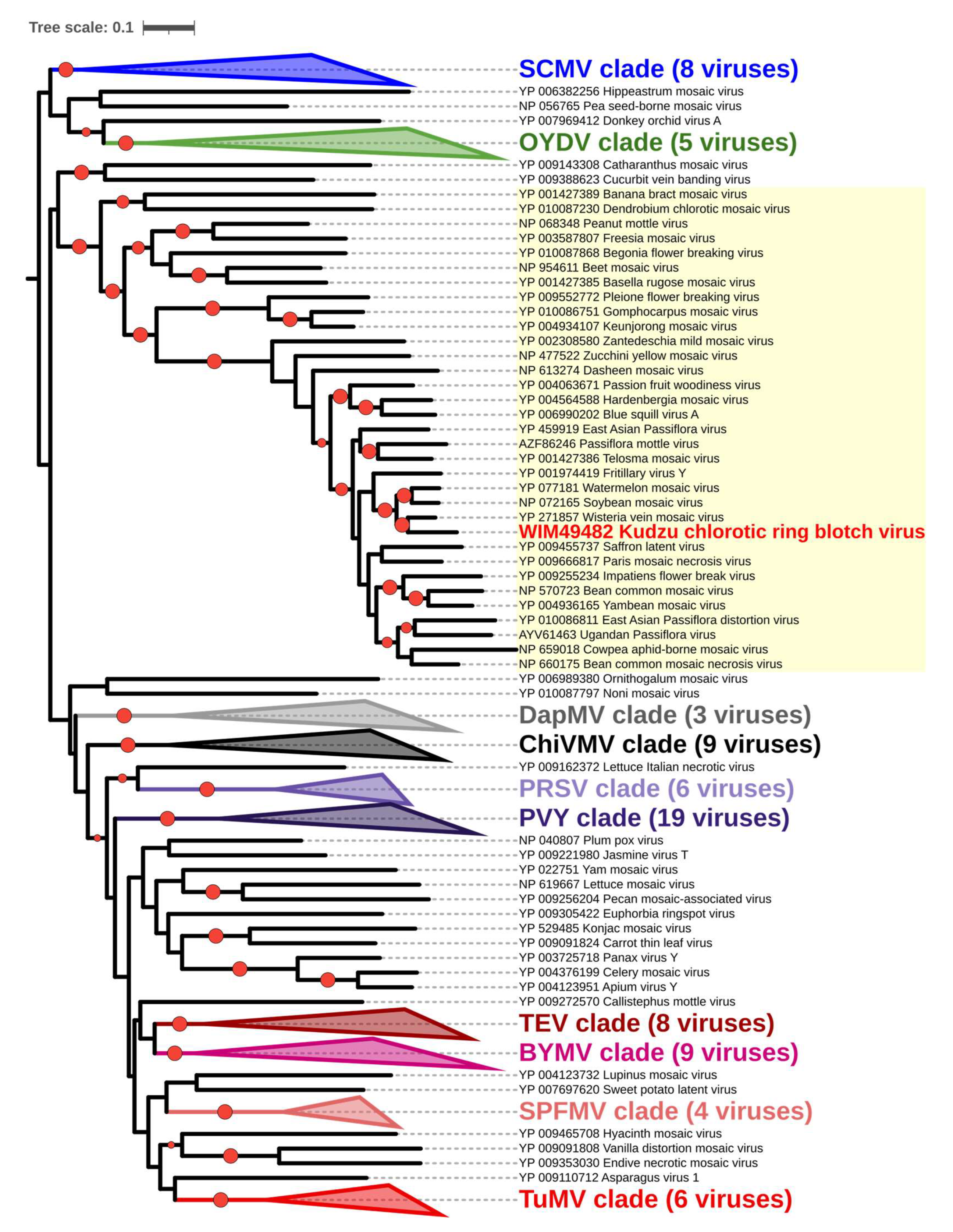 Viruses 15 02145 g005