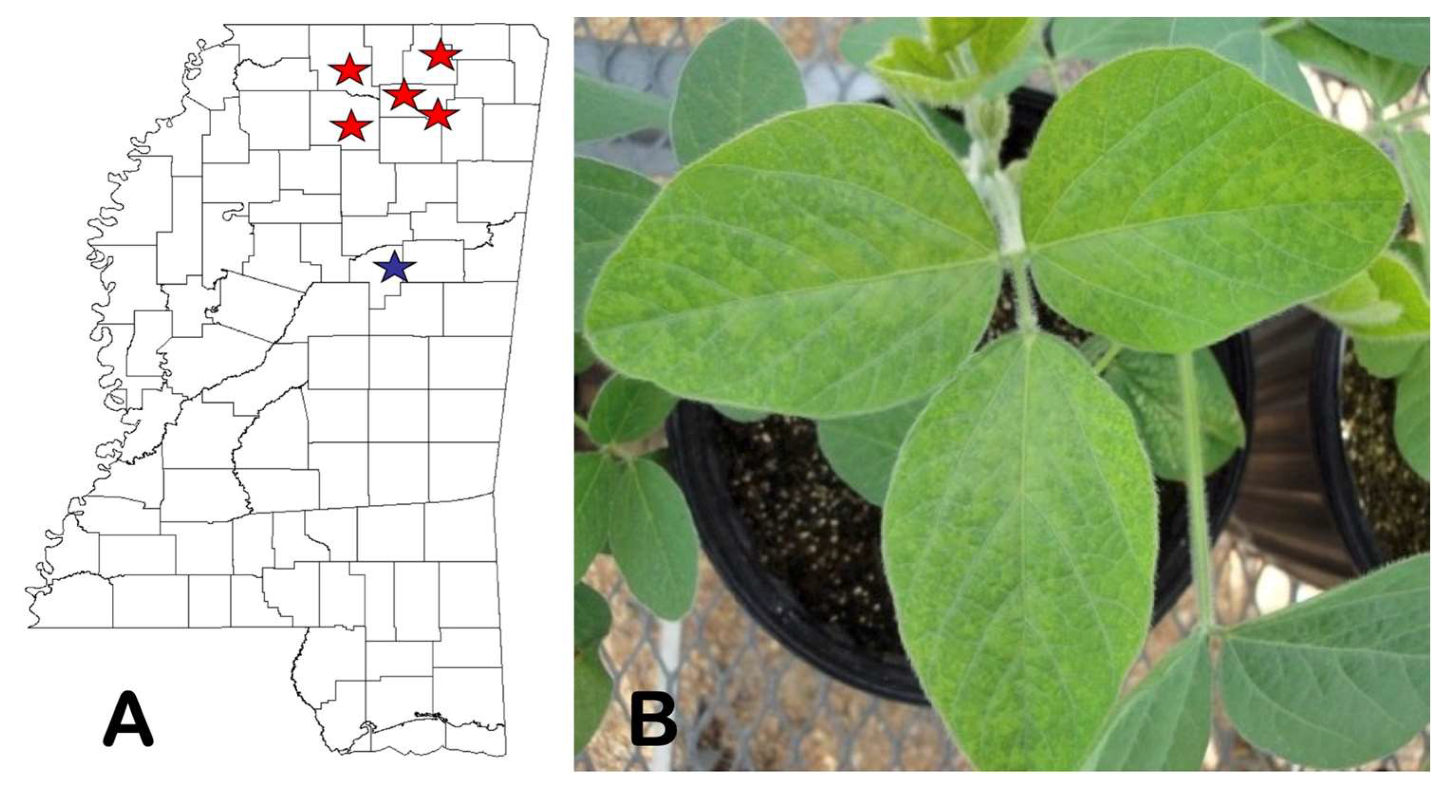 Viruses 15 02145 g007