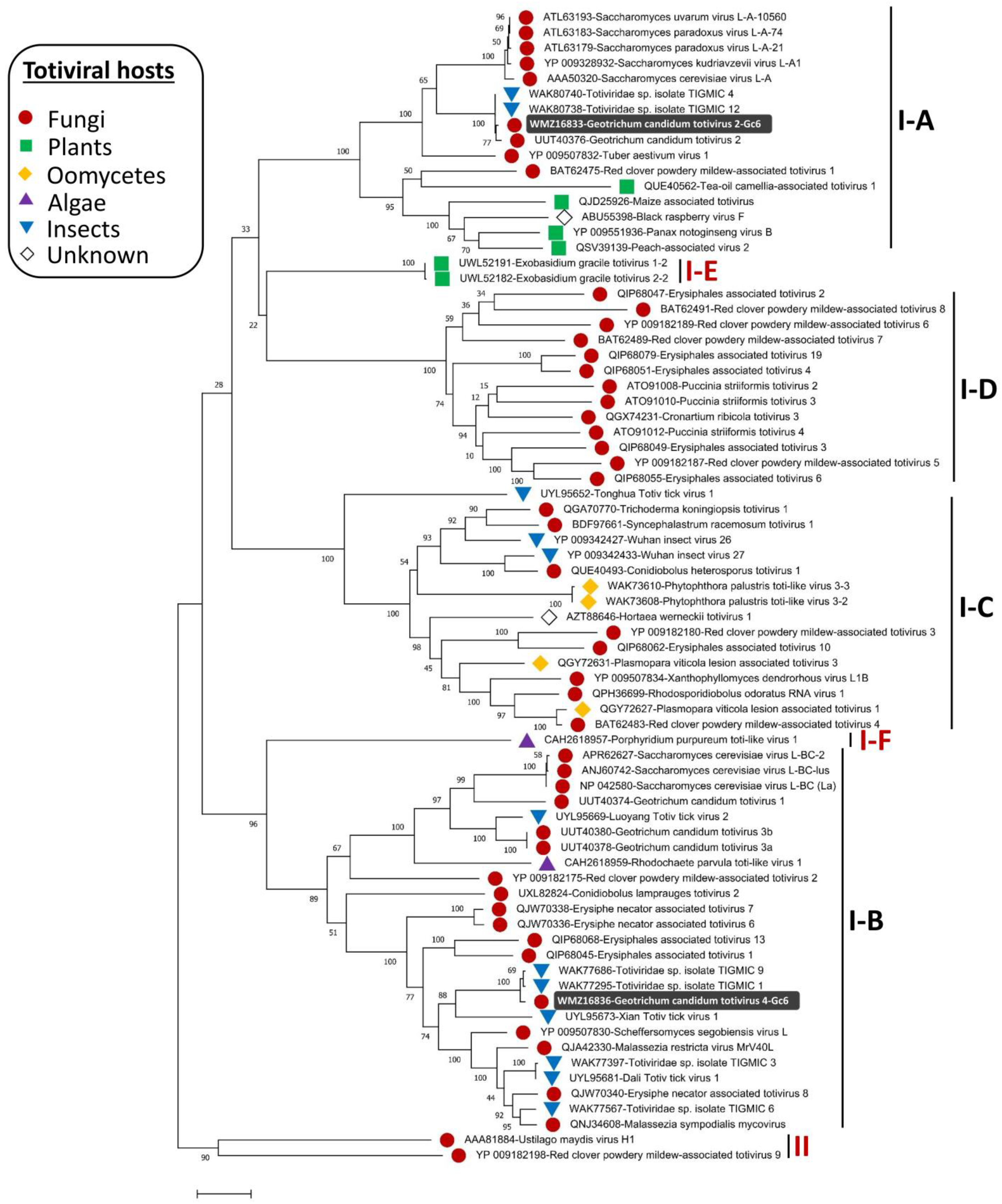Viruses 15 02150 g004