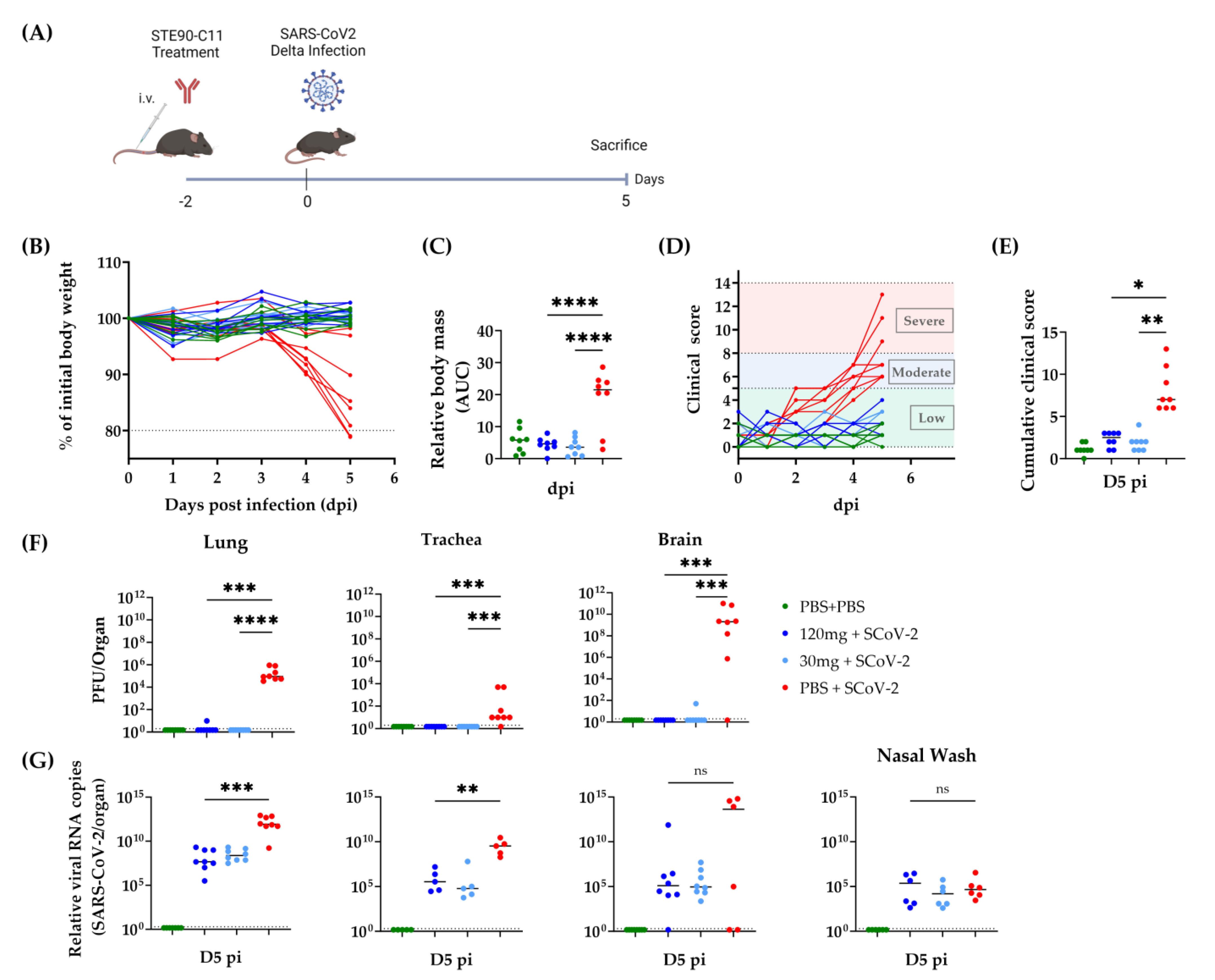 Viruses 15 02153 g003