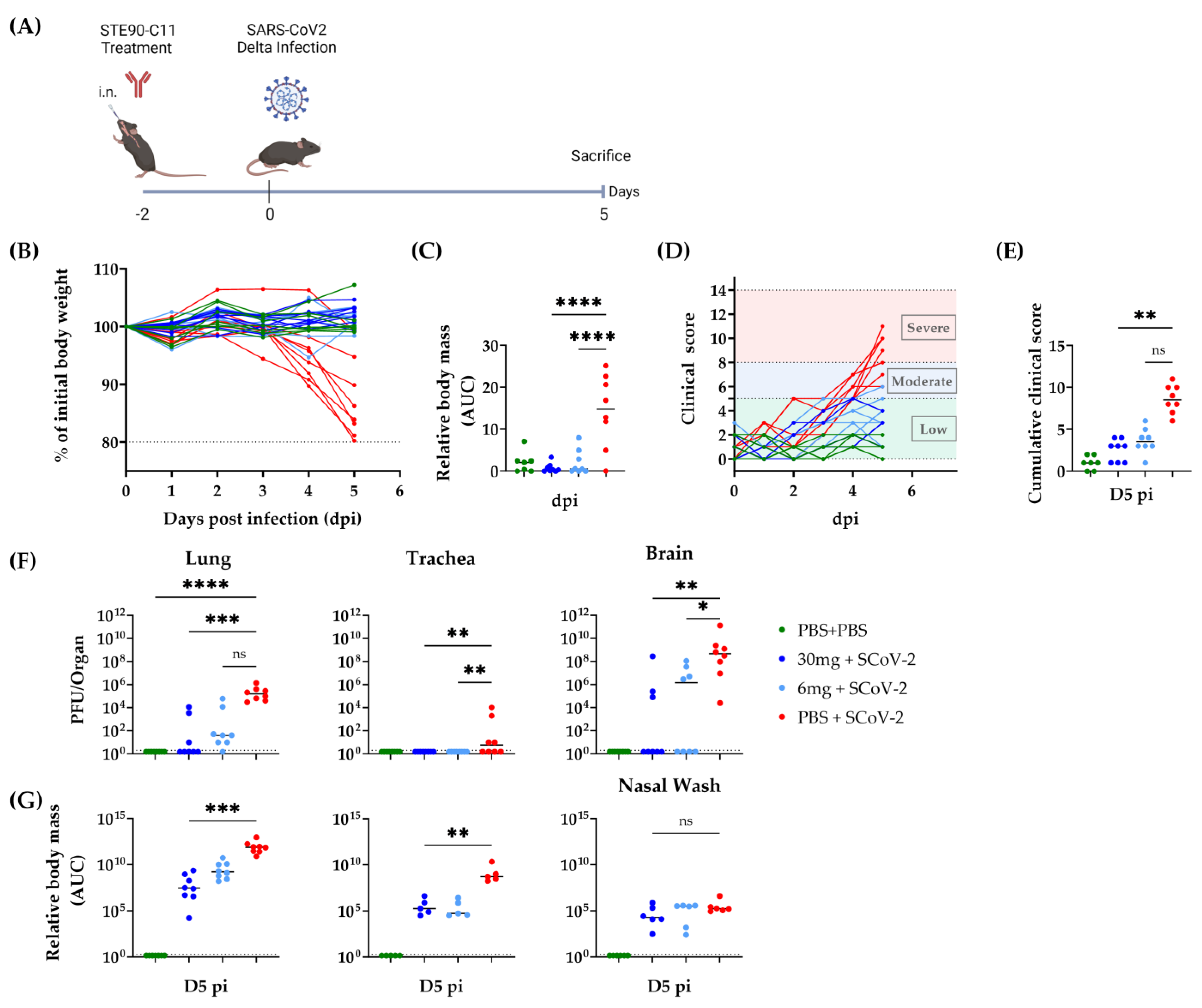 Viruses 15 02153 g004