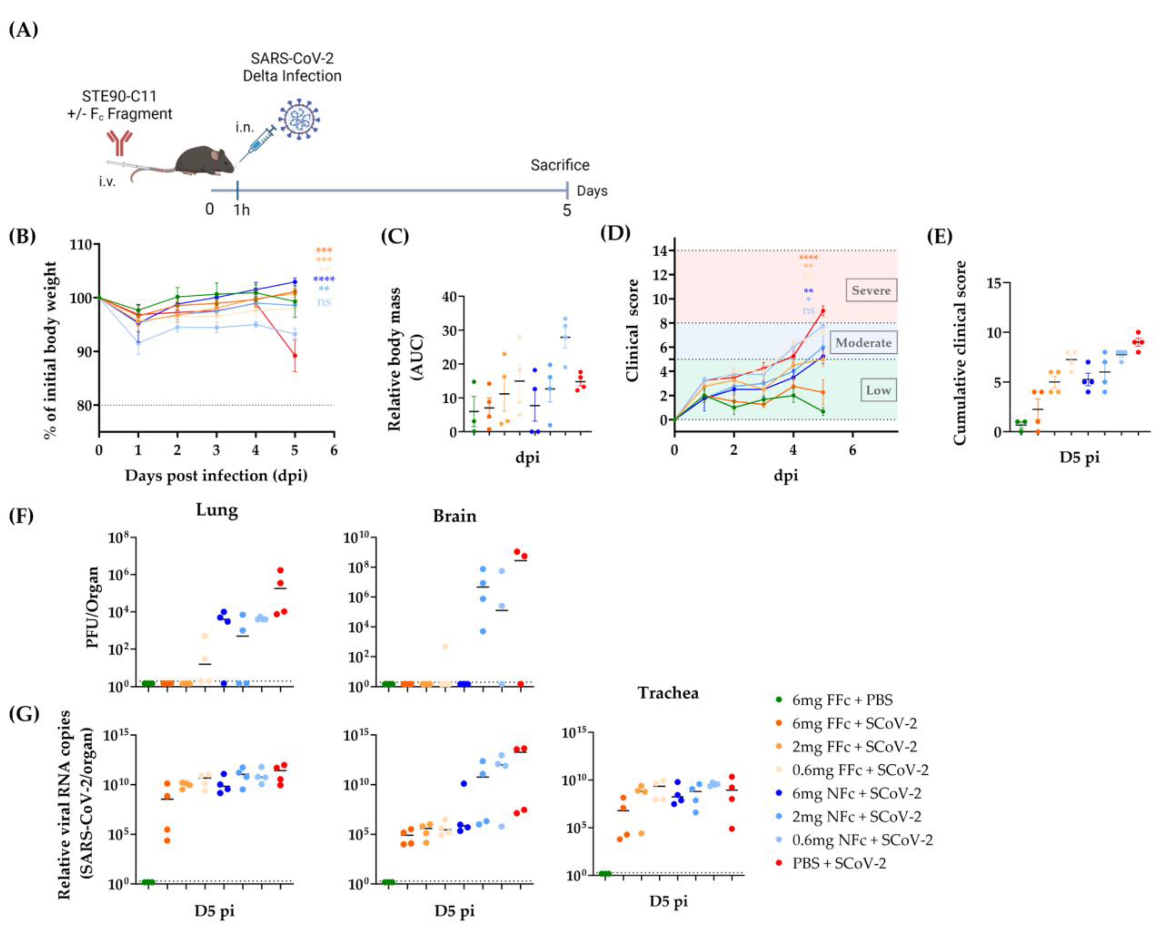 Viruses 15 02153 g005