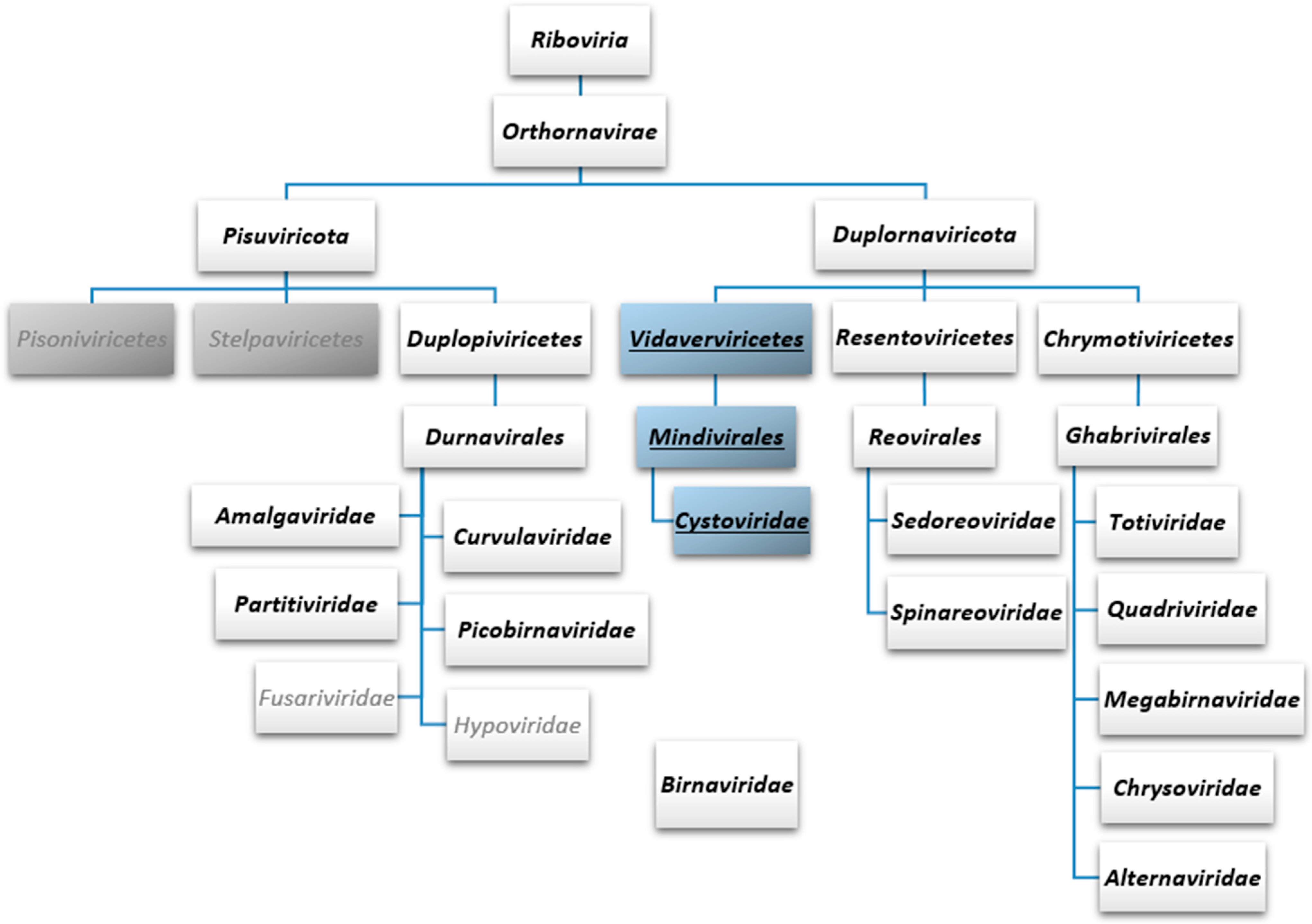 Viruses 15 02154 g002
