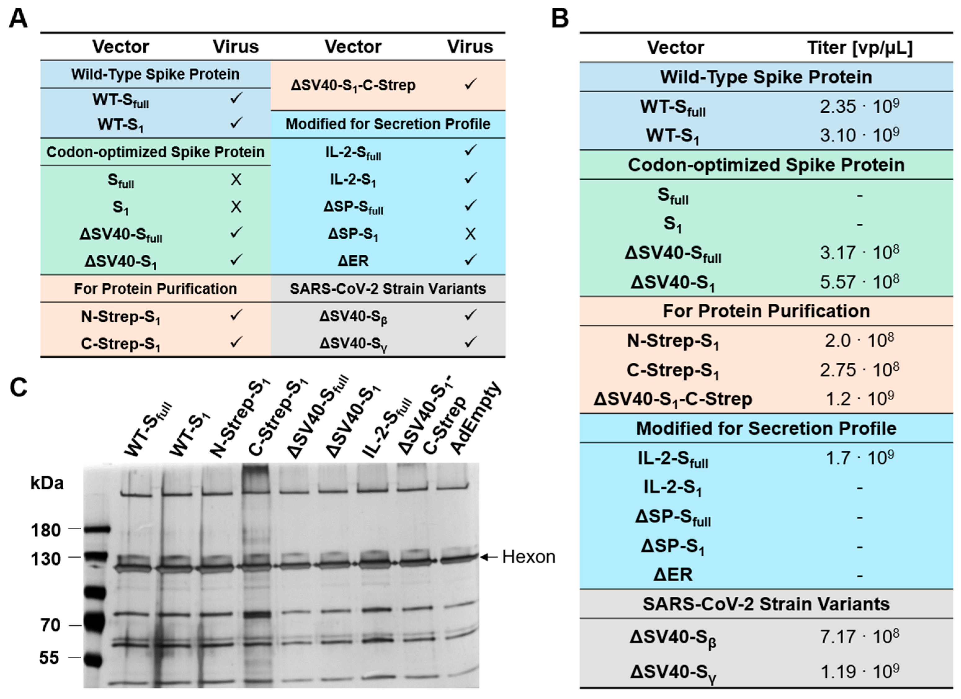 Viruses 15 02155 g002
