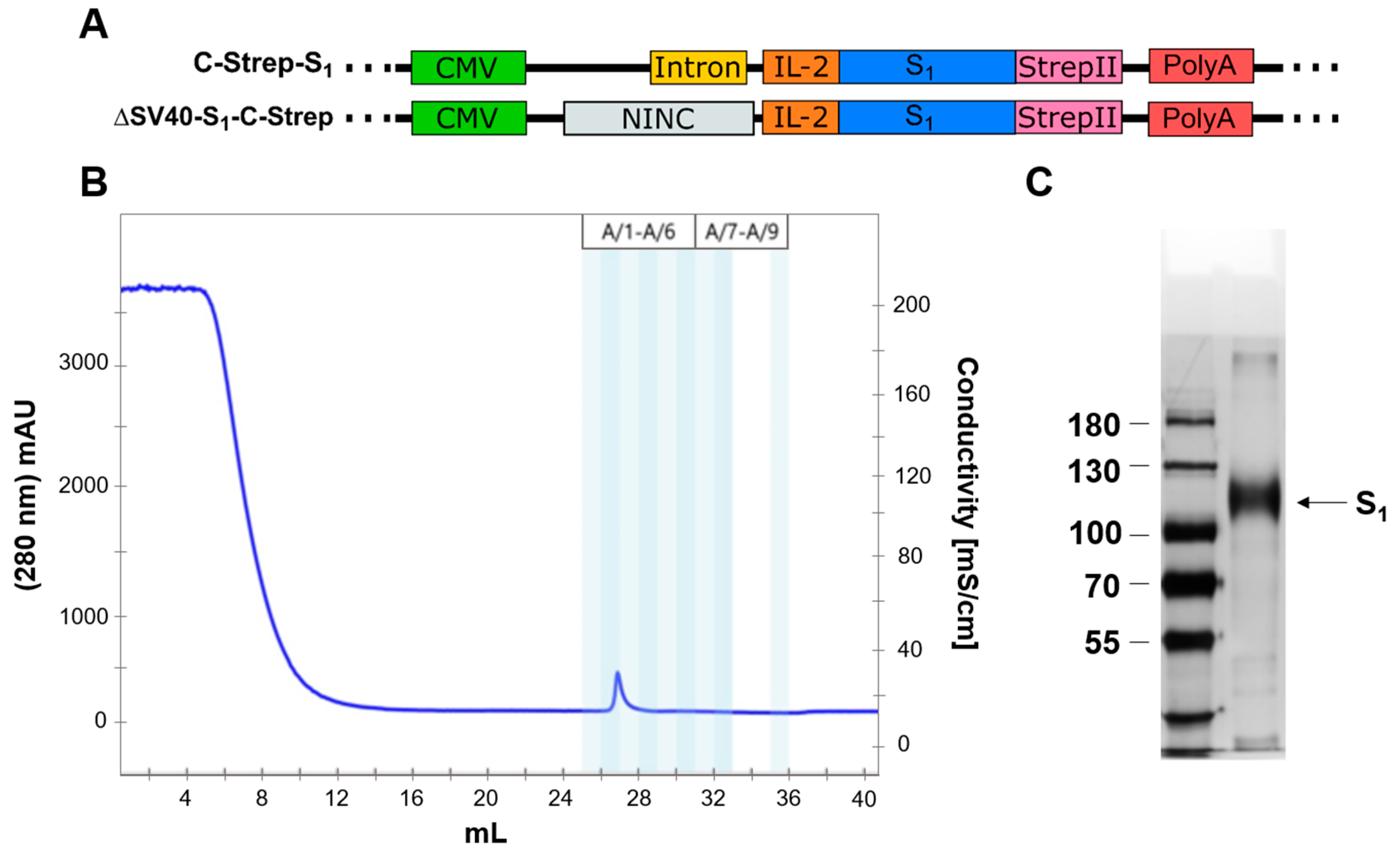 Viruses 15 02155 g006