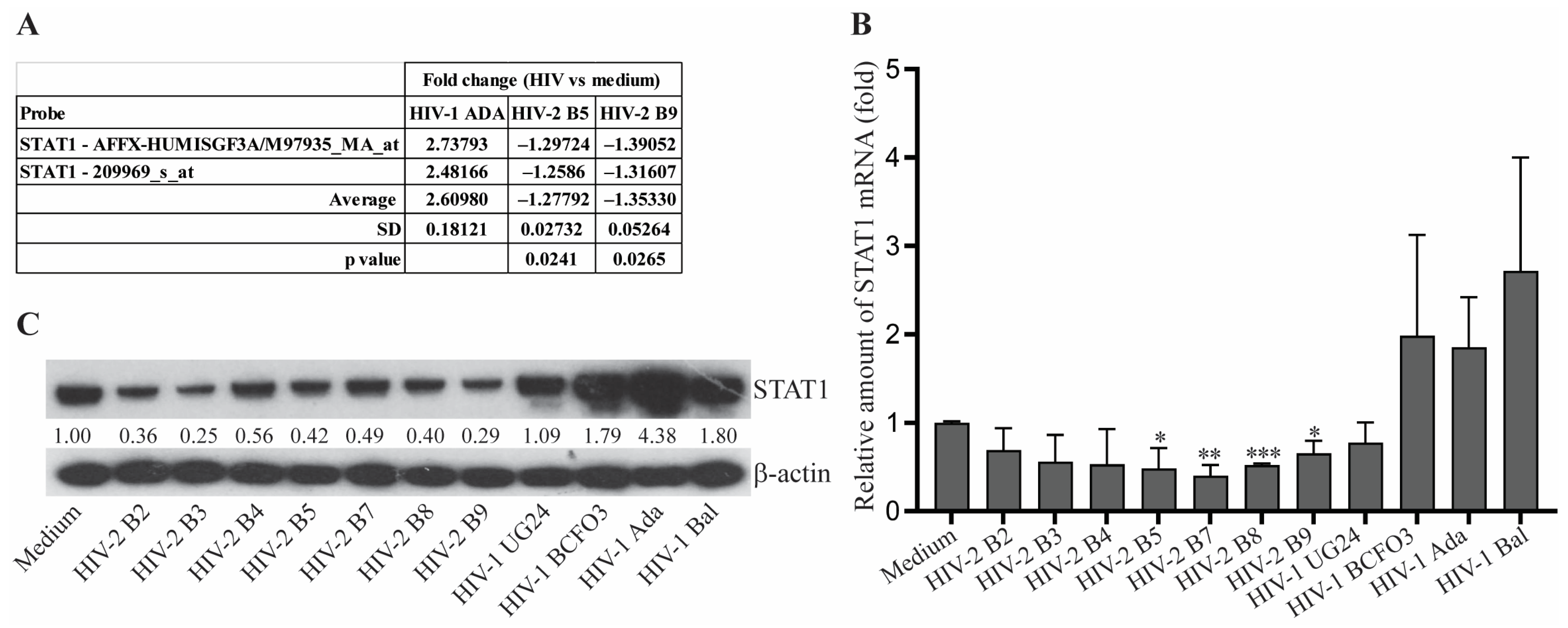 Viruses 15 02160 g002 Viruses 15 02160 g002