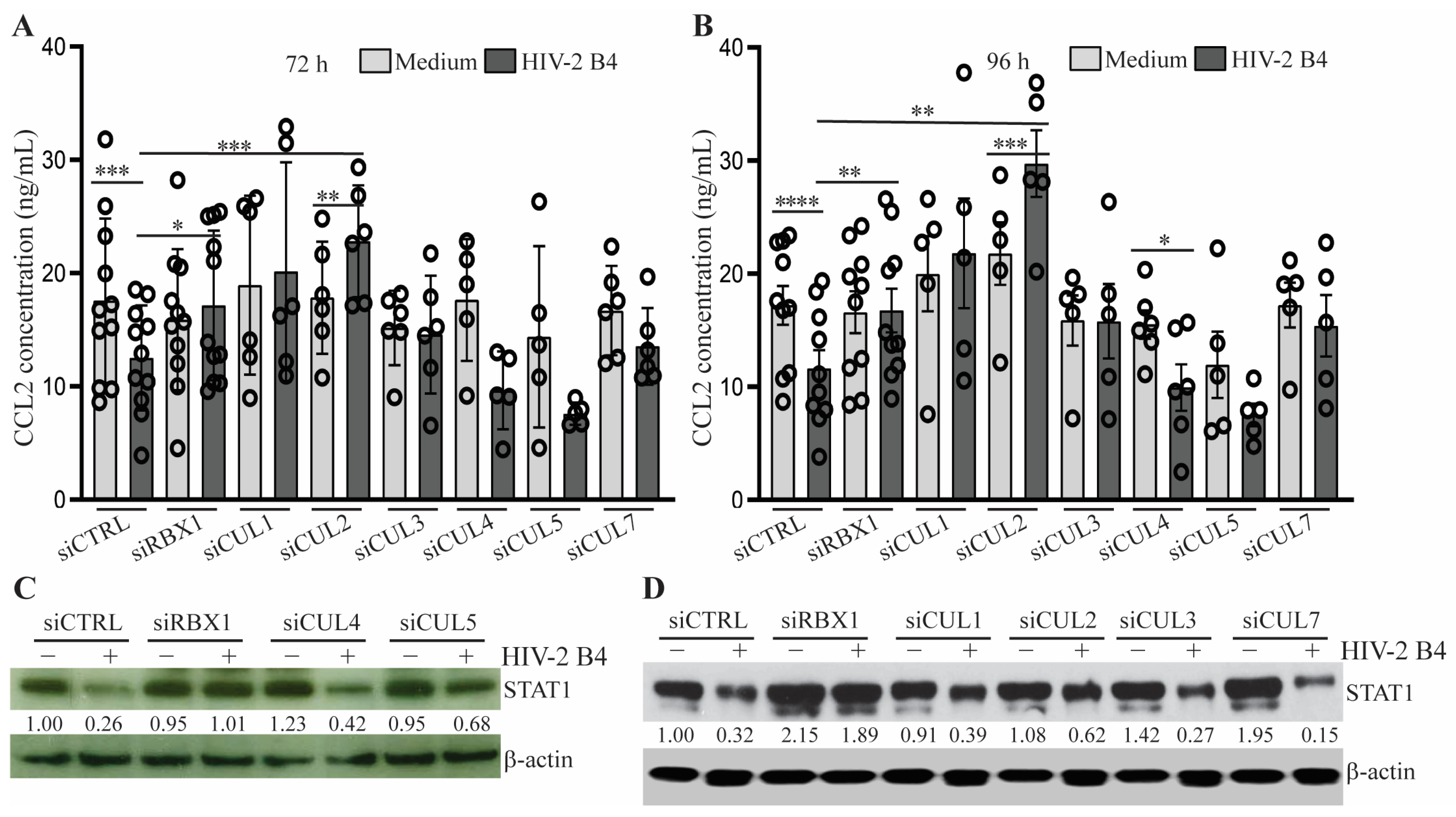 Viruses 15 02160 g004 Viruses 15 02160 g004