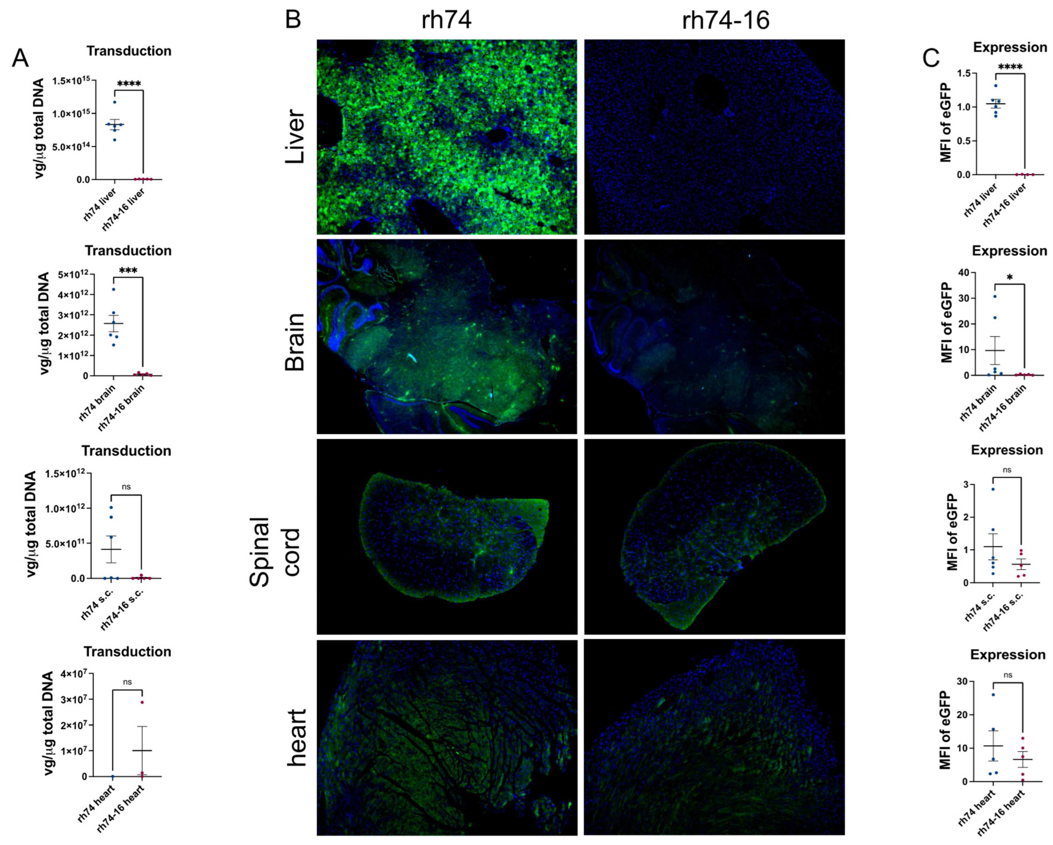 Viruses 15 02168 g004