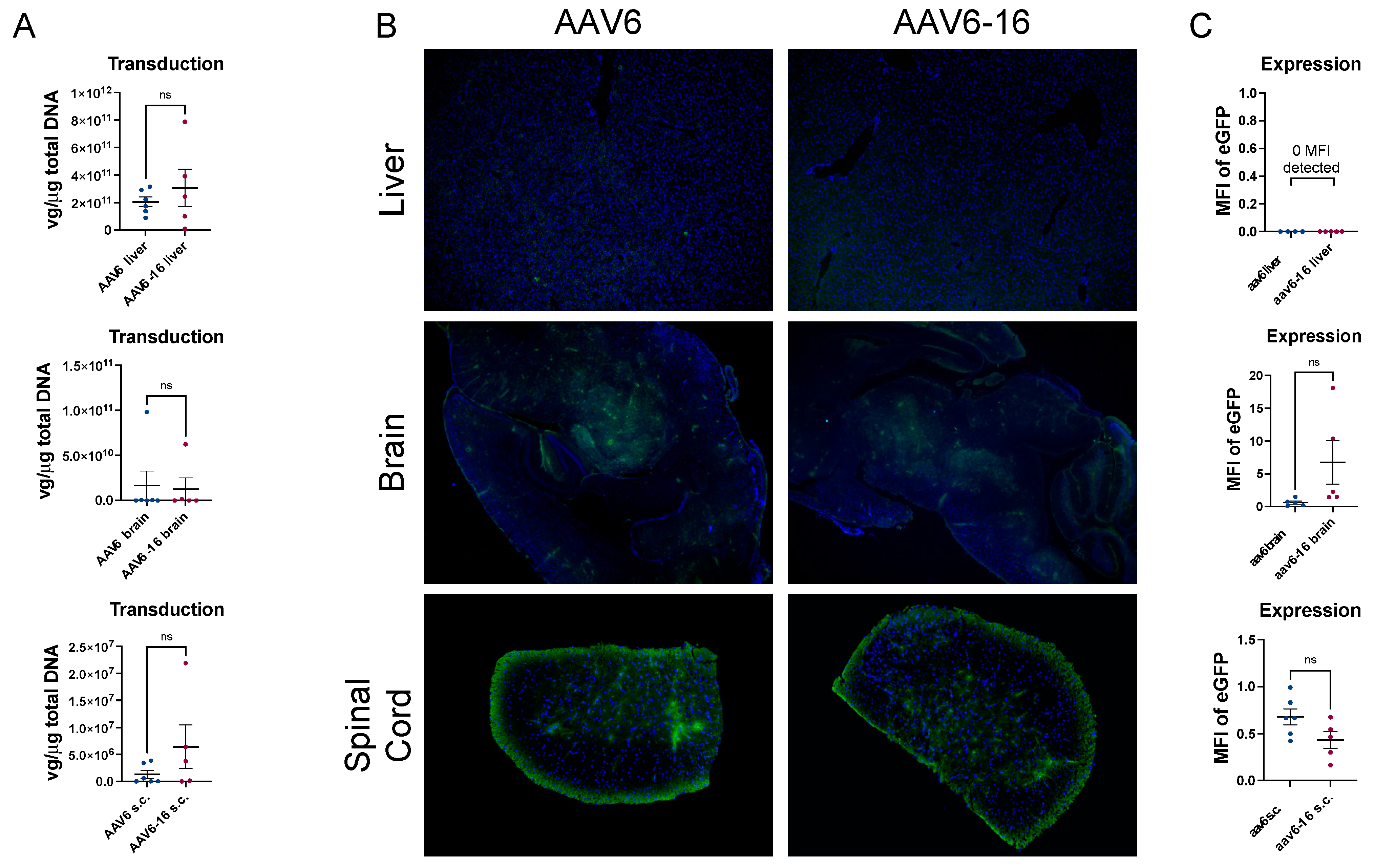 Viruses 15 02168 g006
