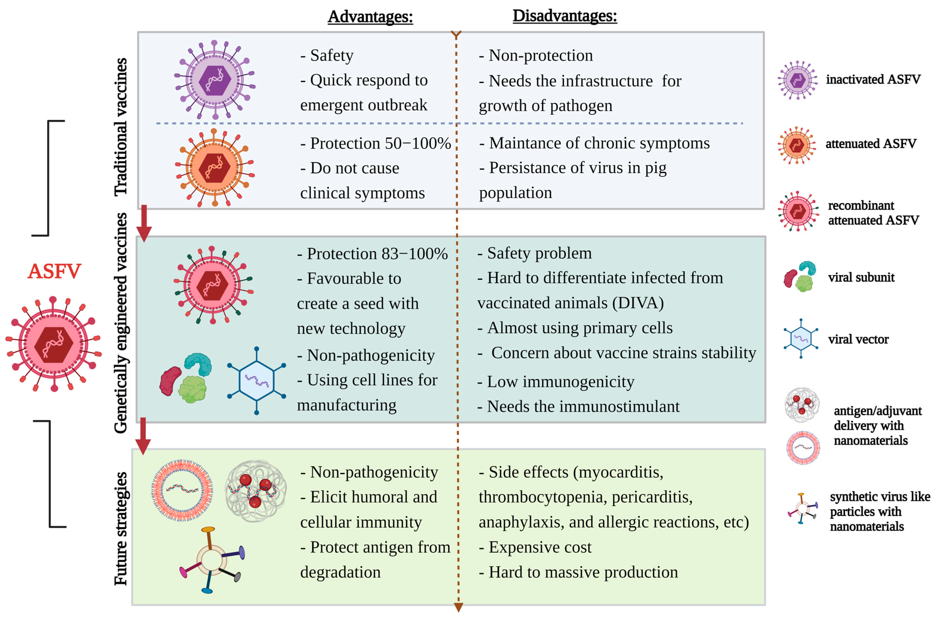 Viruses 15 02169 g002