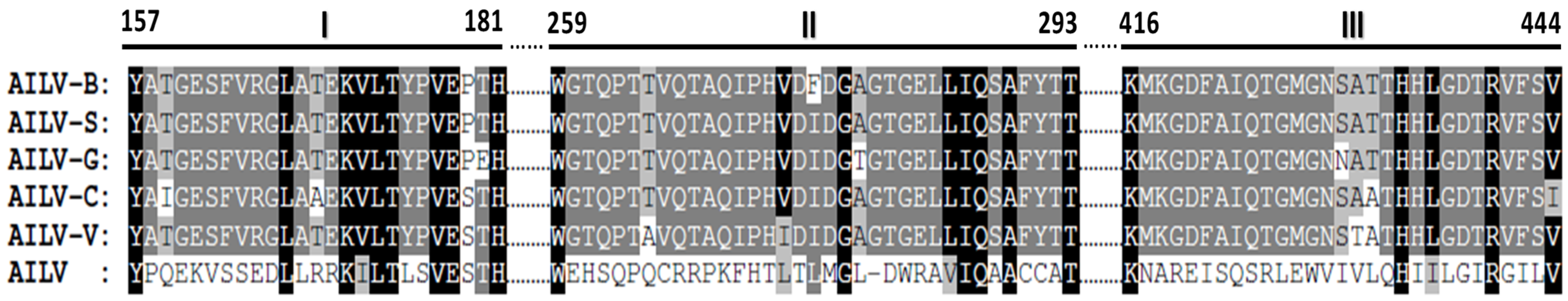 Viruses 15 02170 g002