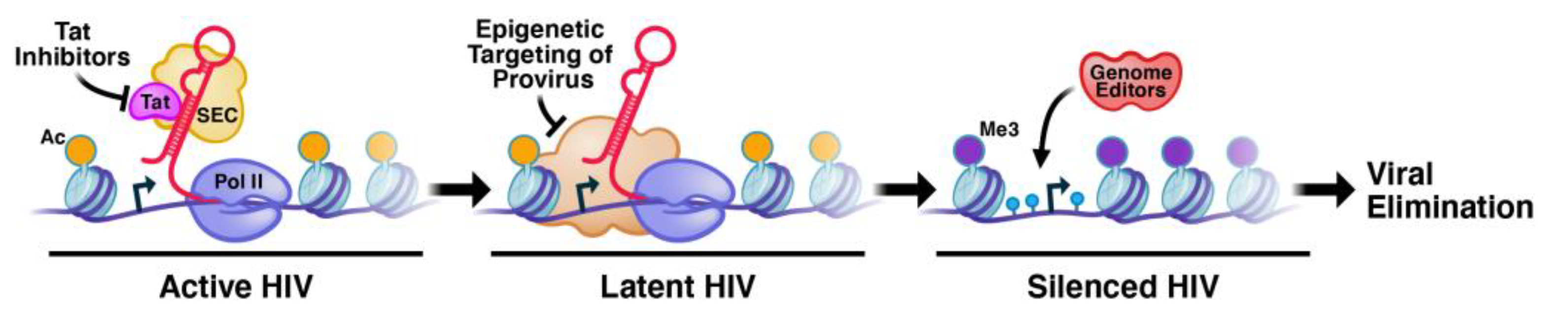 Viruses 15 02171 g001