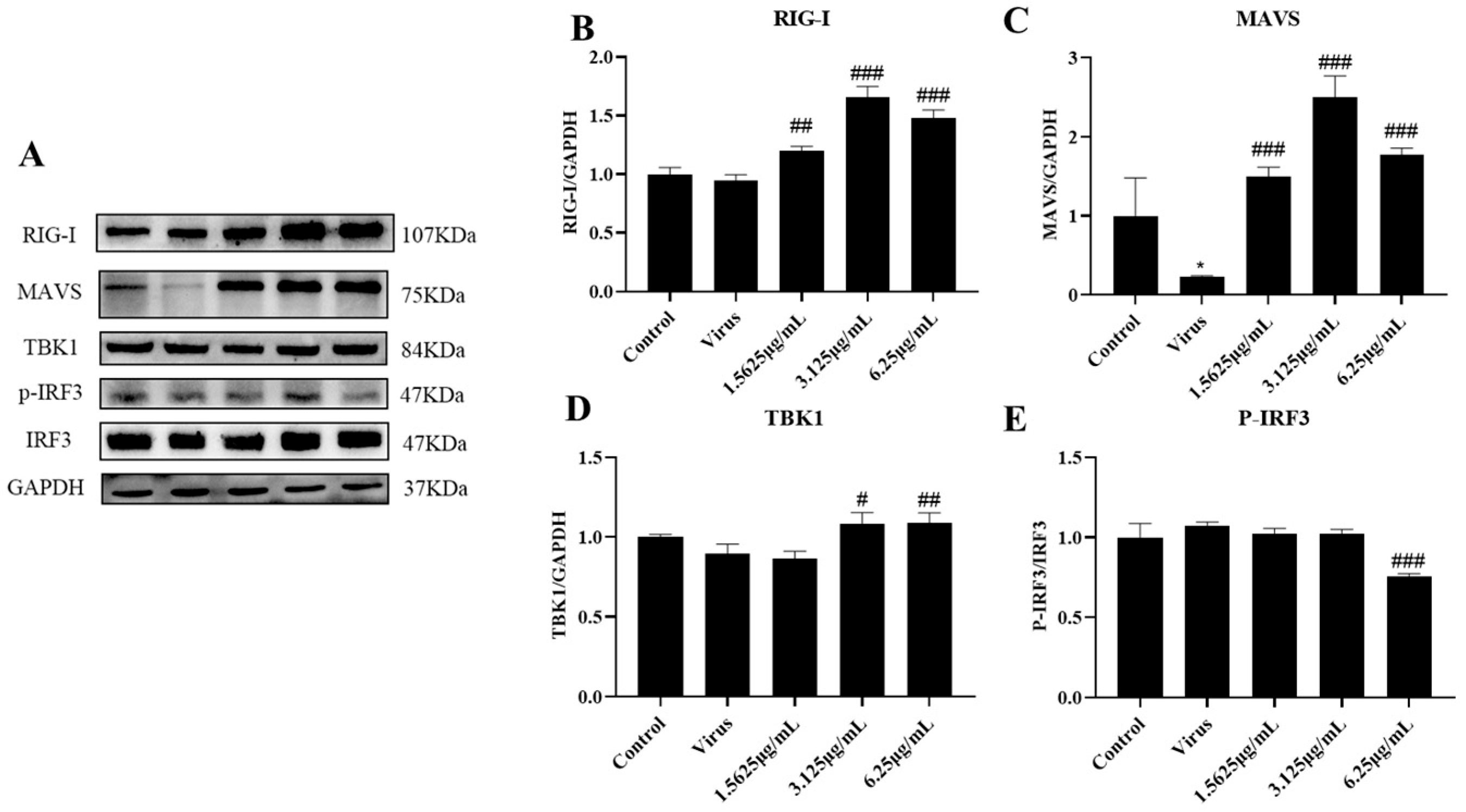 Viruses 15 02172 g006