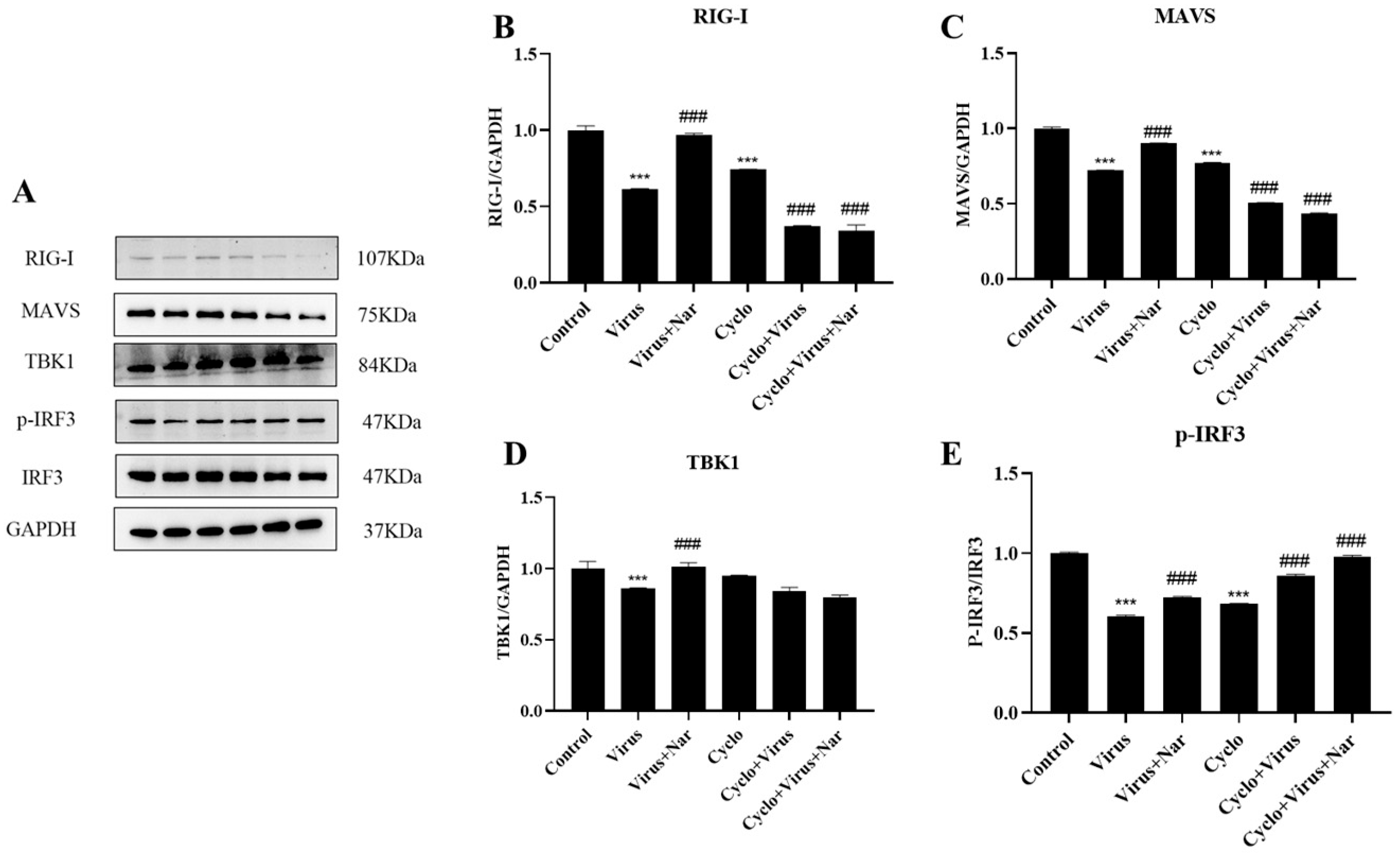 Viruses 15 02172 g007