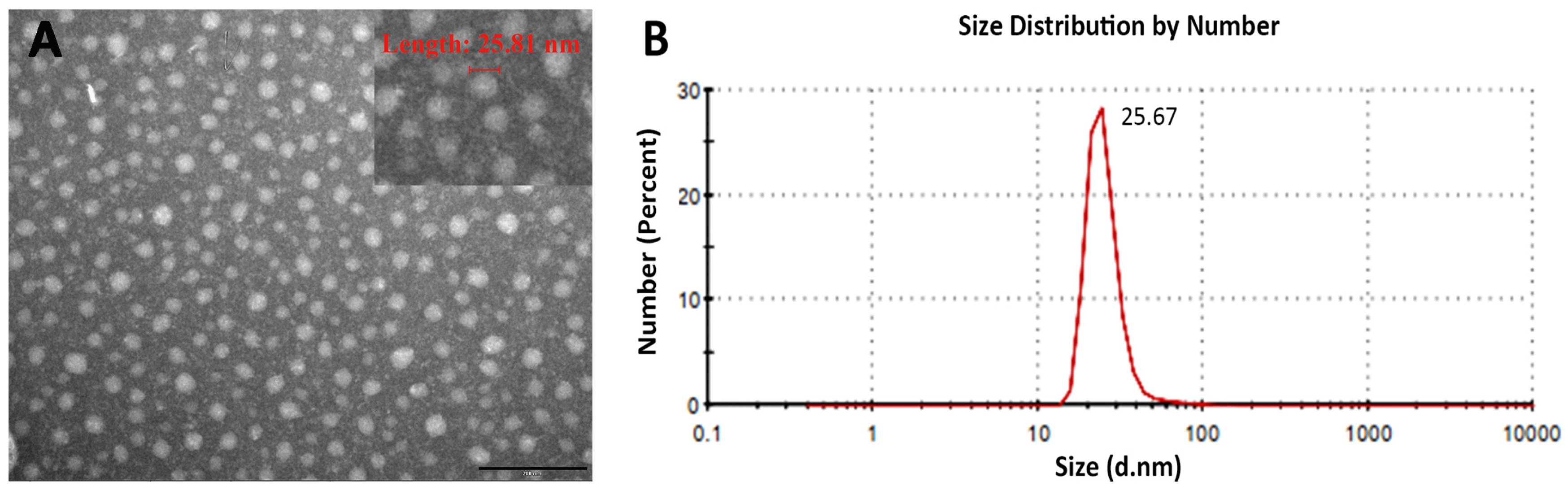Viruses 15 02178 g002 Viruses 15 02178 g002