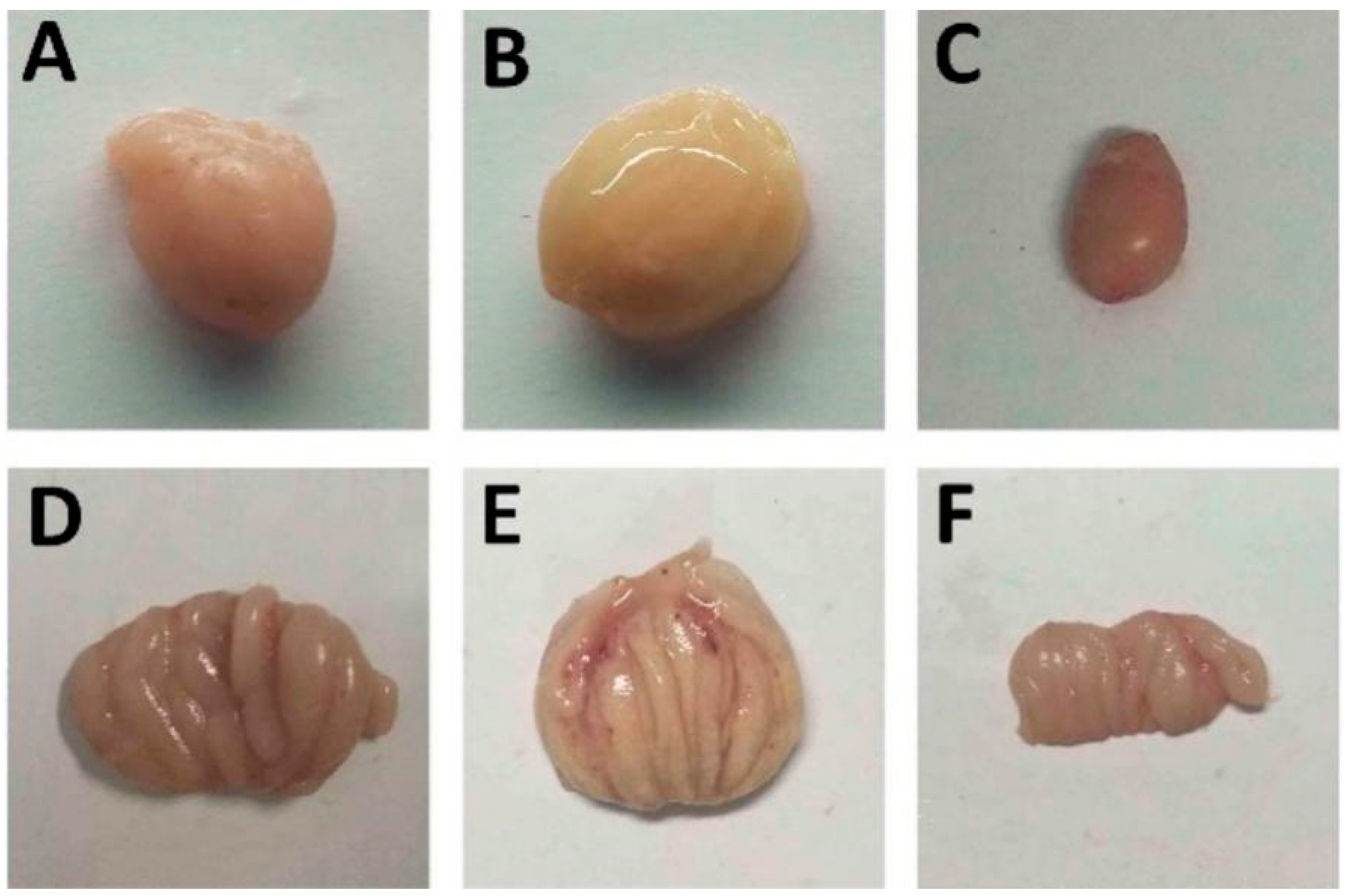 Viruses 15 02178 g005 Viruses 15 02178 g005