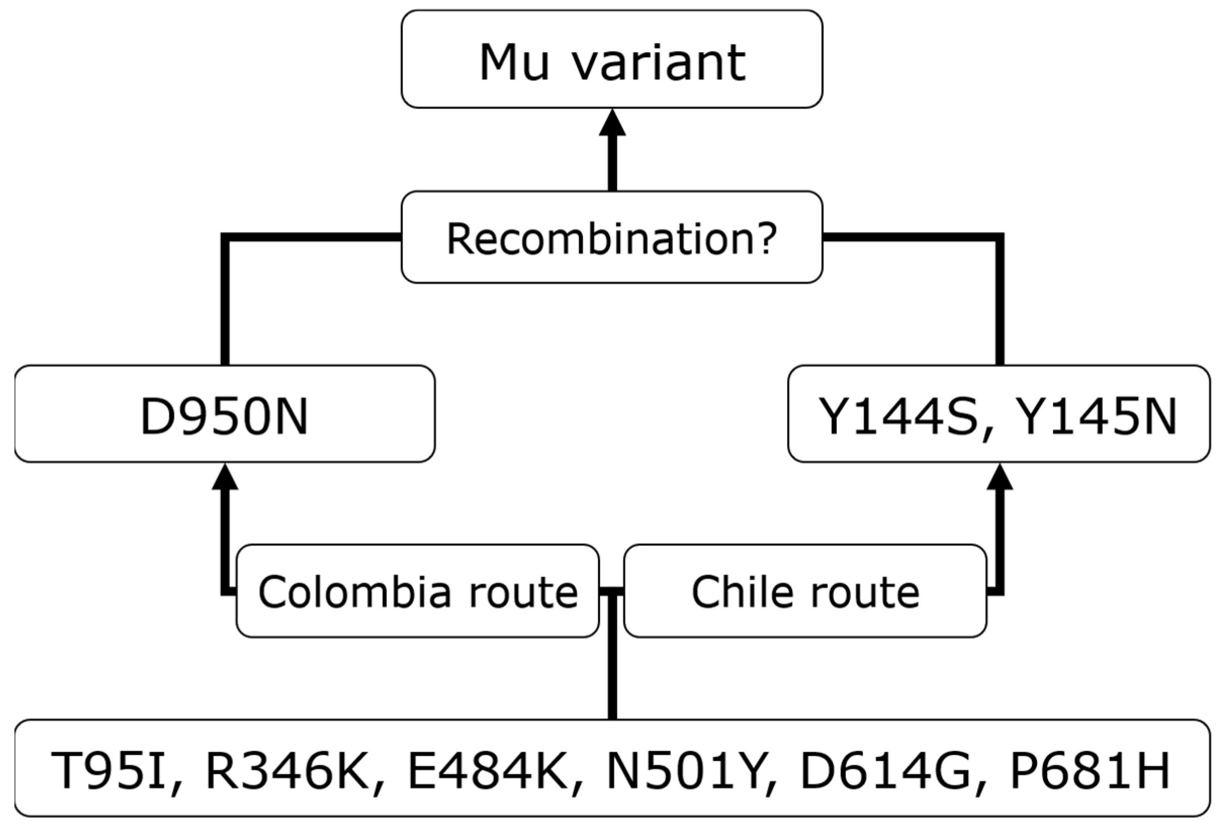 Viruses 15 02182 g006