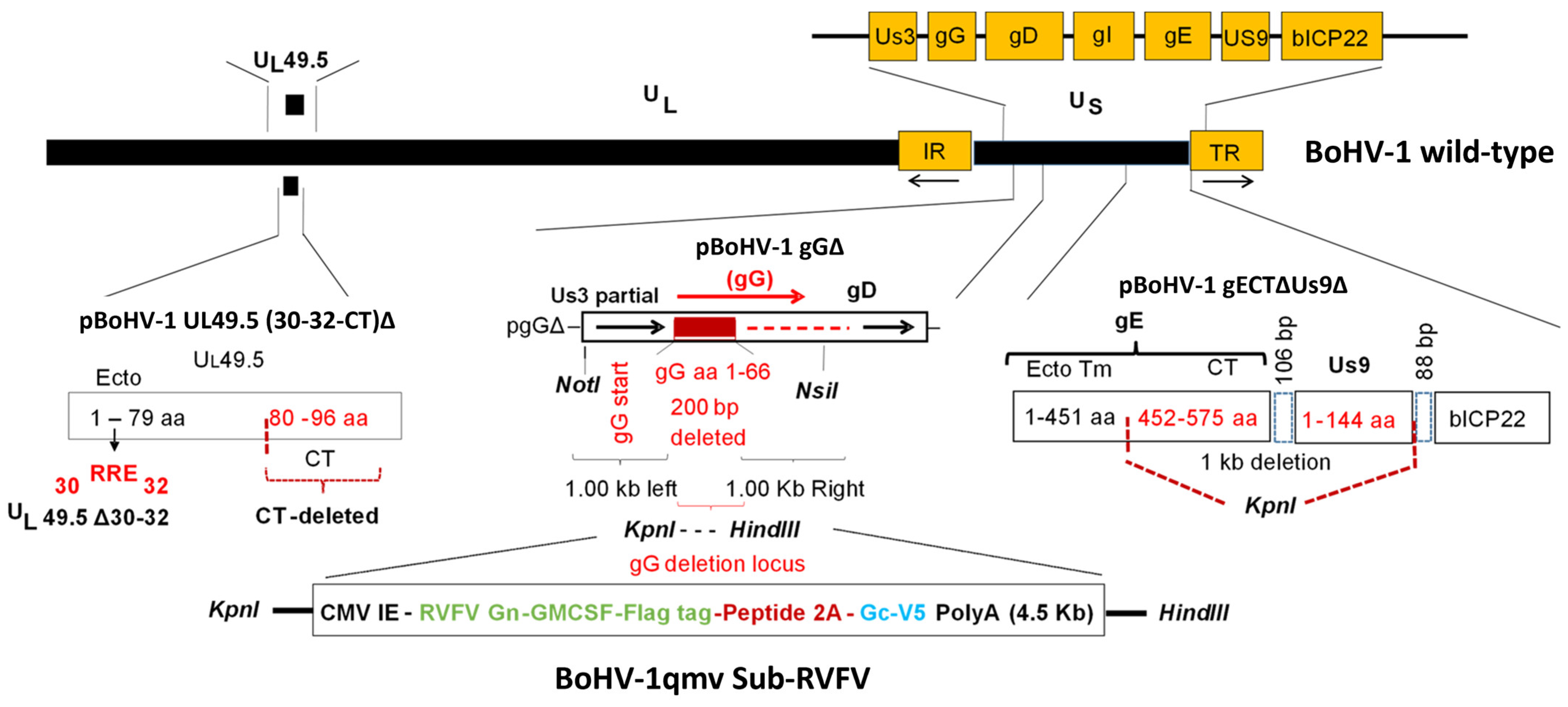 Viruses 15 02183 g001