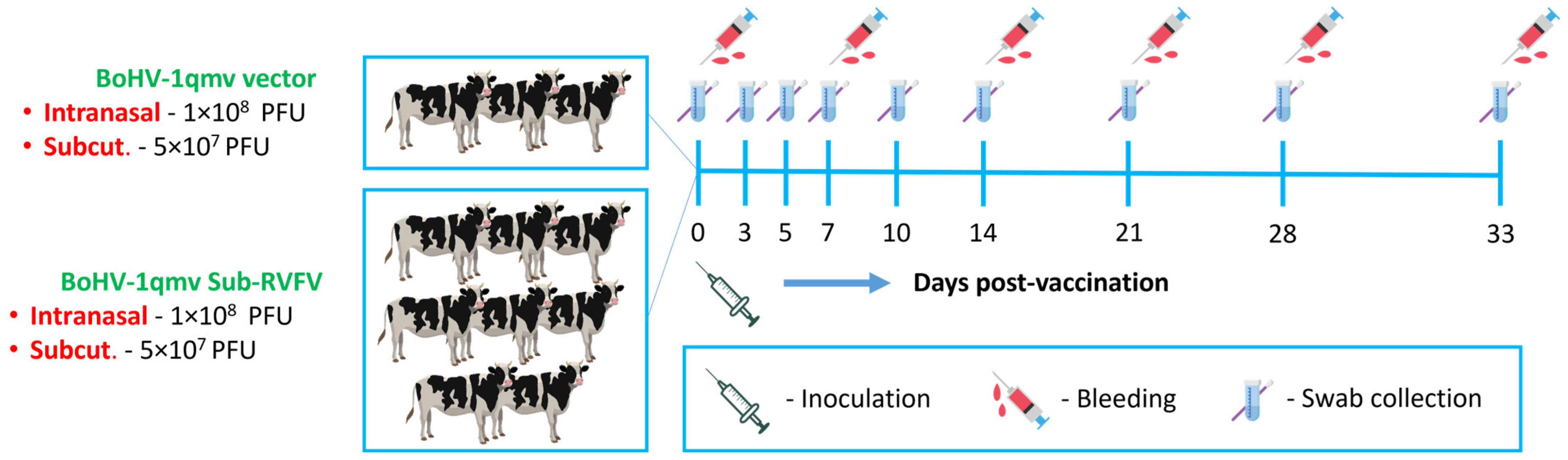 Viruses 15 02183 g002
