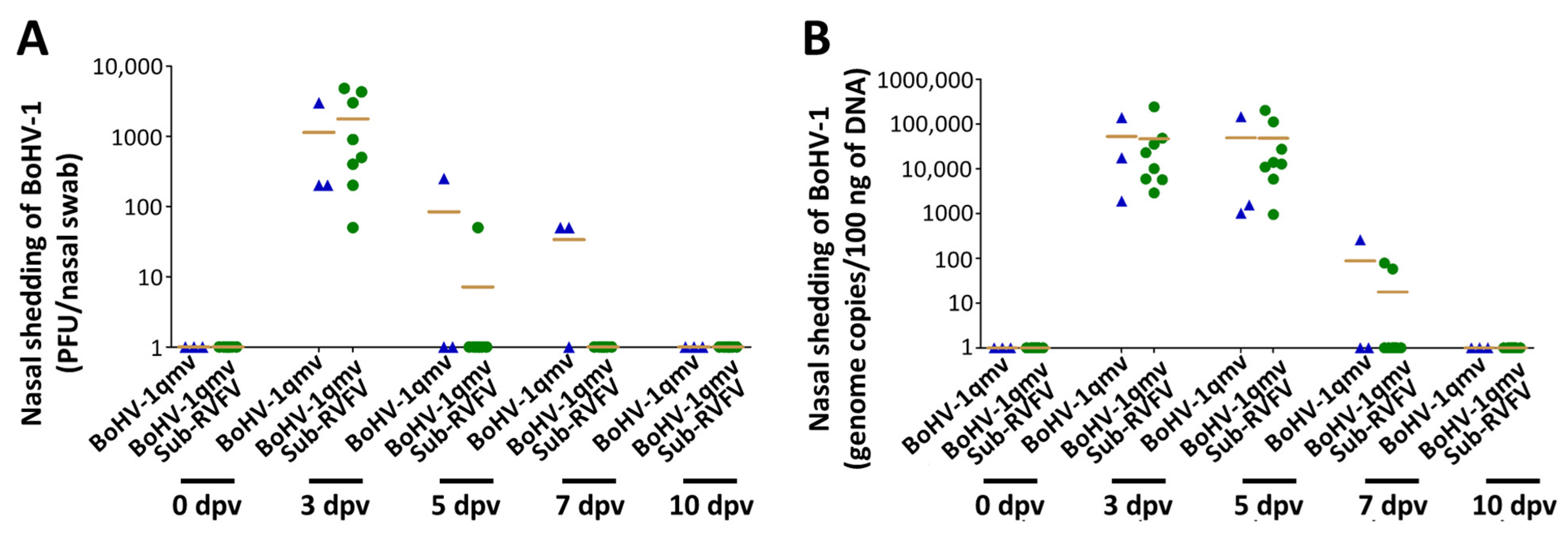 Viruses 15 02183 g008