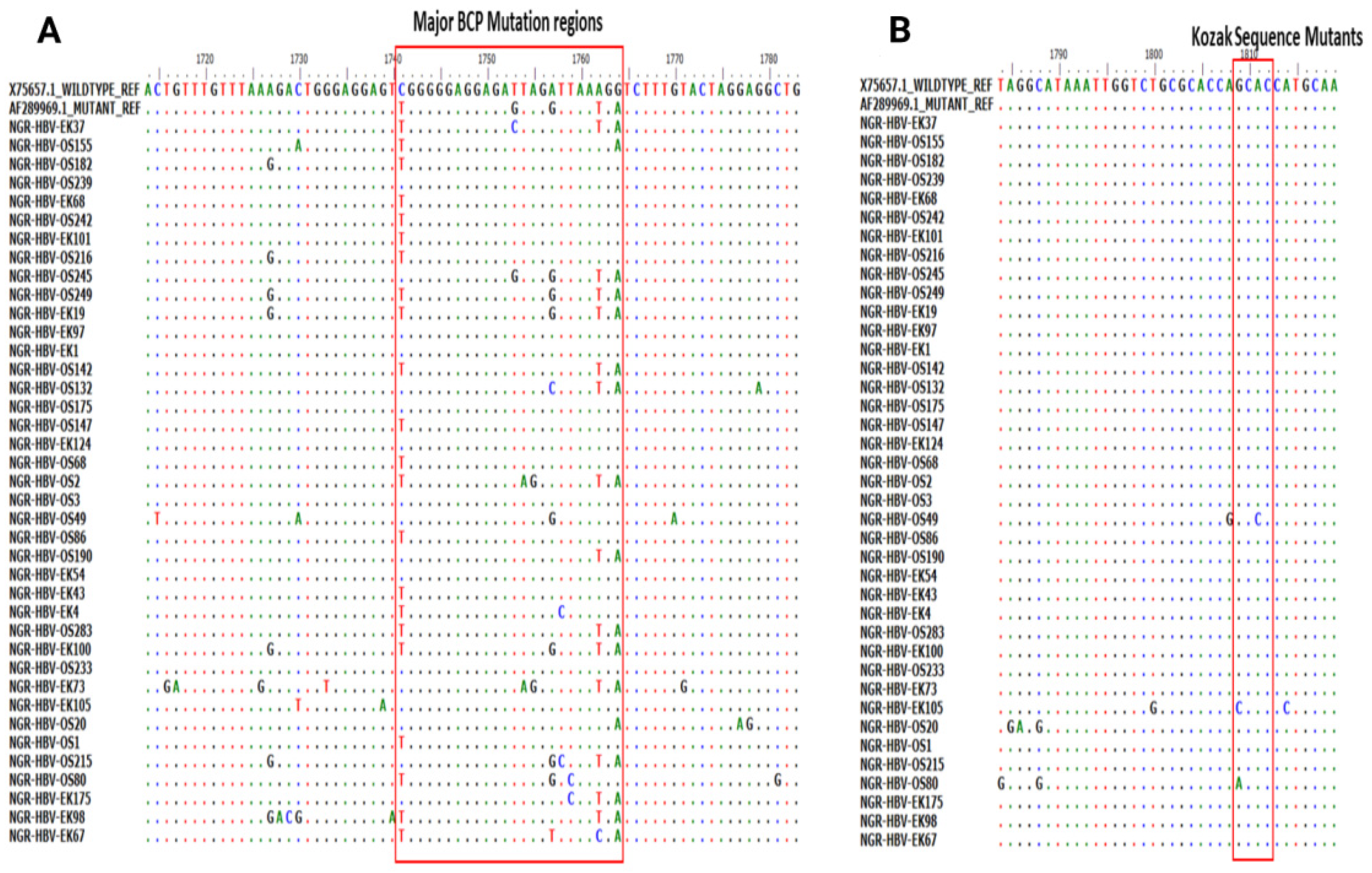 Viruses 15 02188 g003 Viruses 15 02188 g003