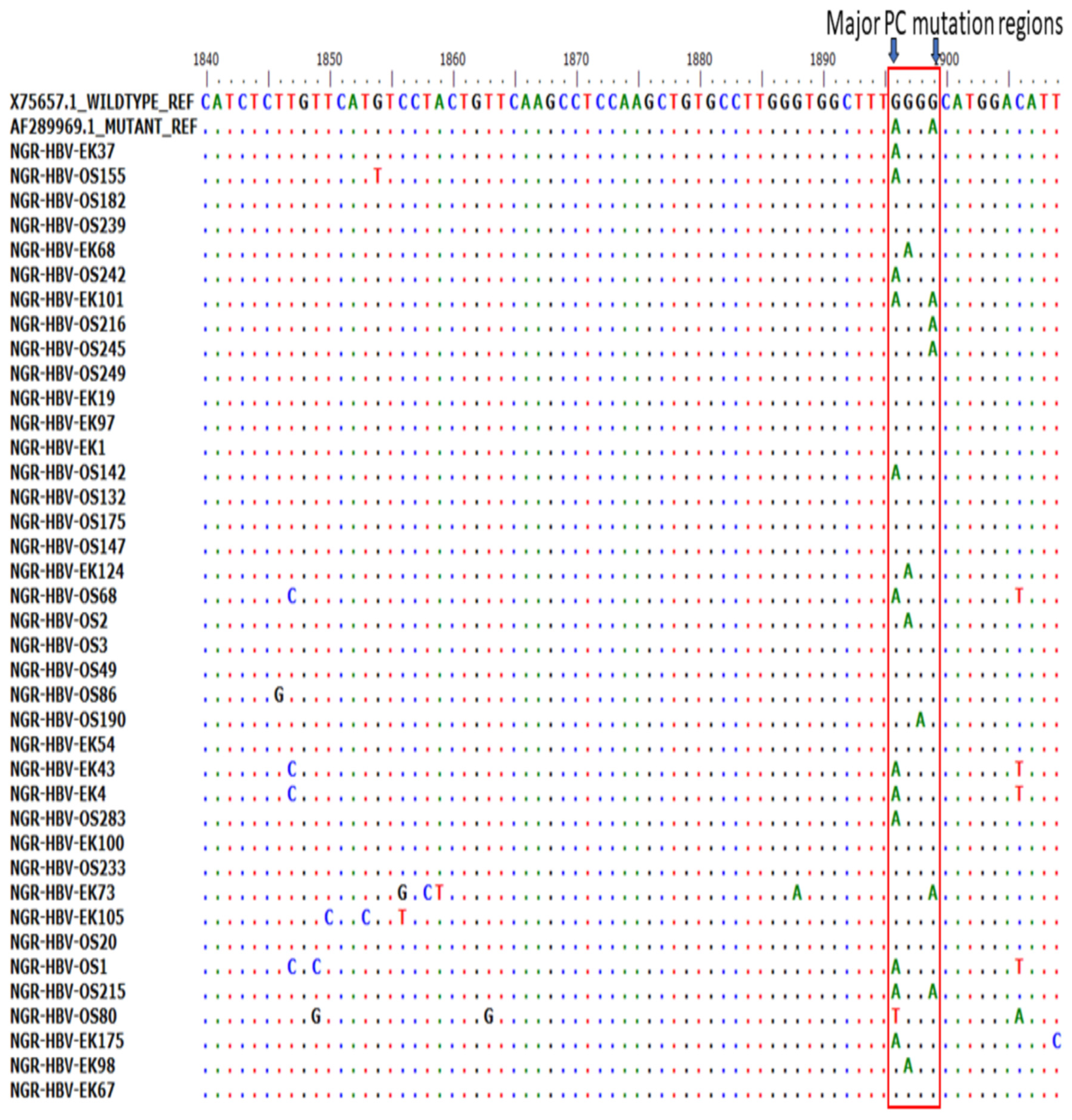 Viruses 15 02188 g004 Viruses 15 02188 g004