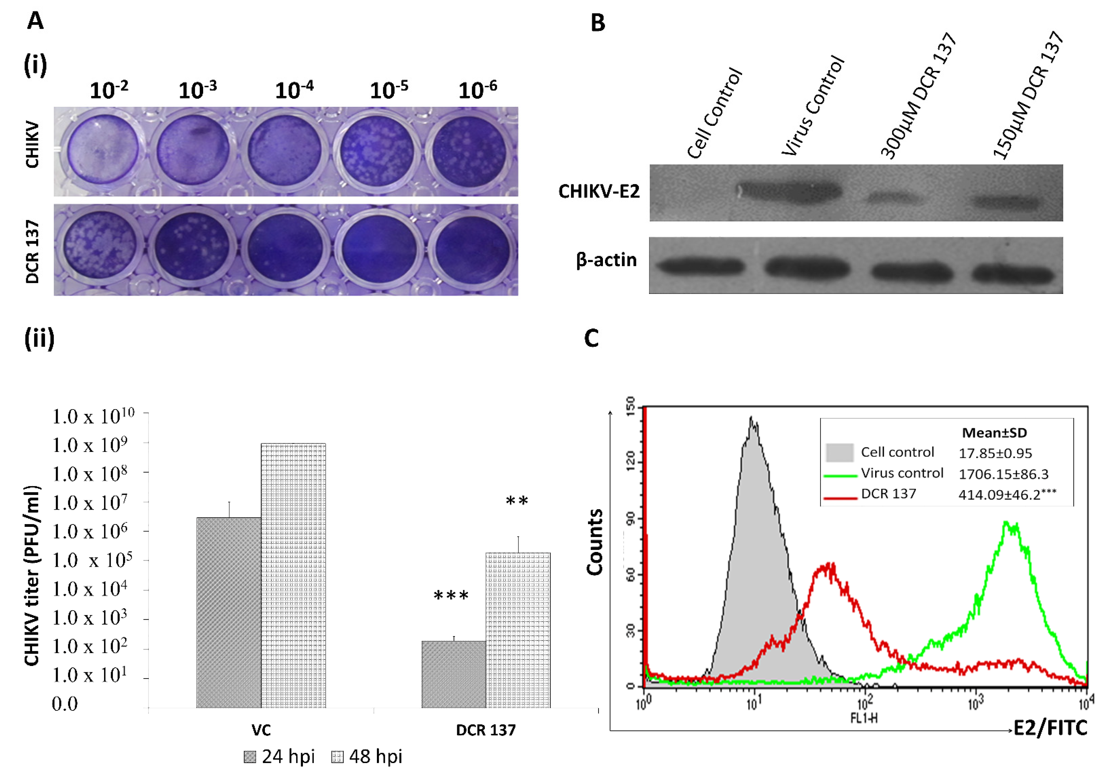 Viruses 15 02194 g005