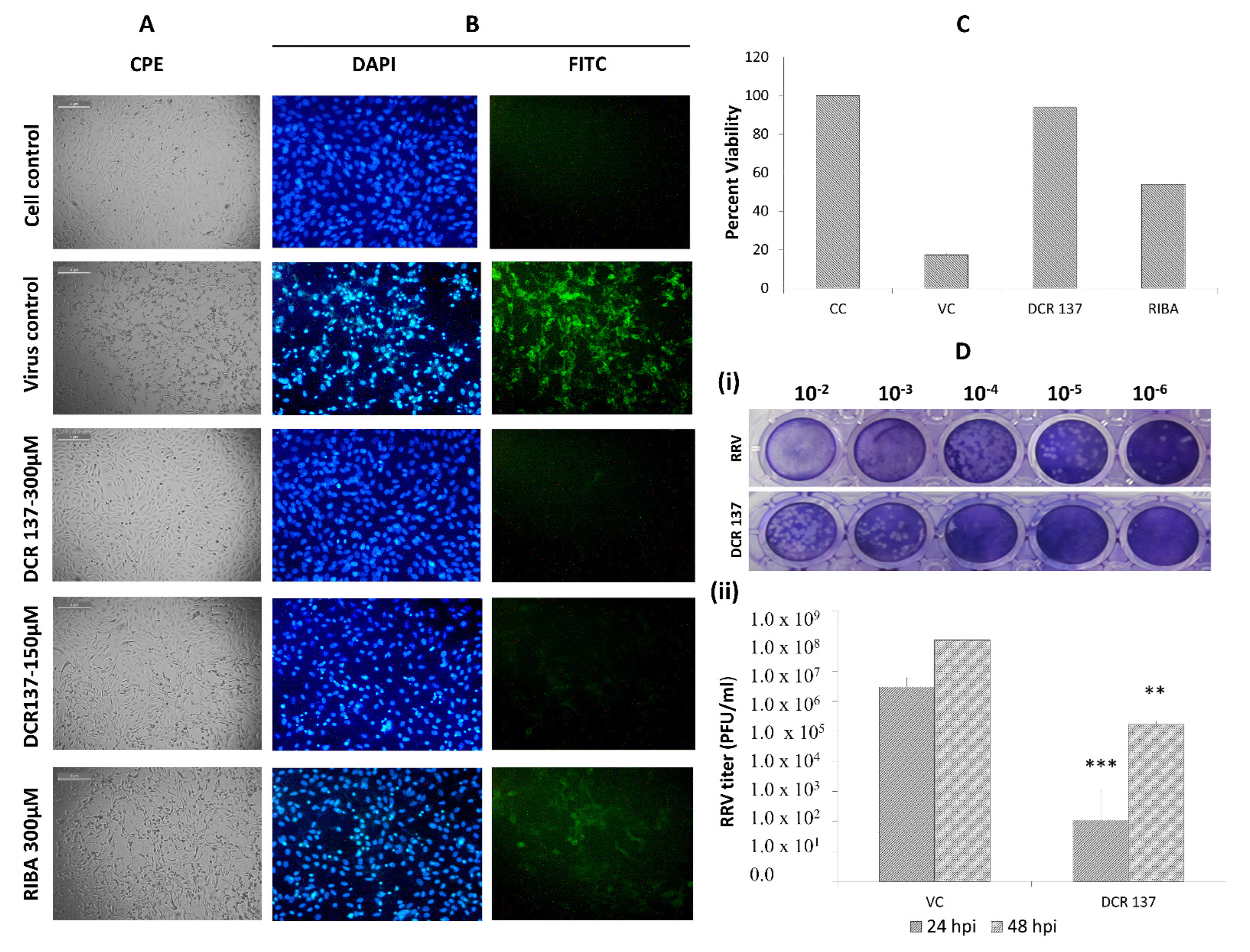 Viruses 15 02194 g006