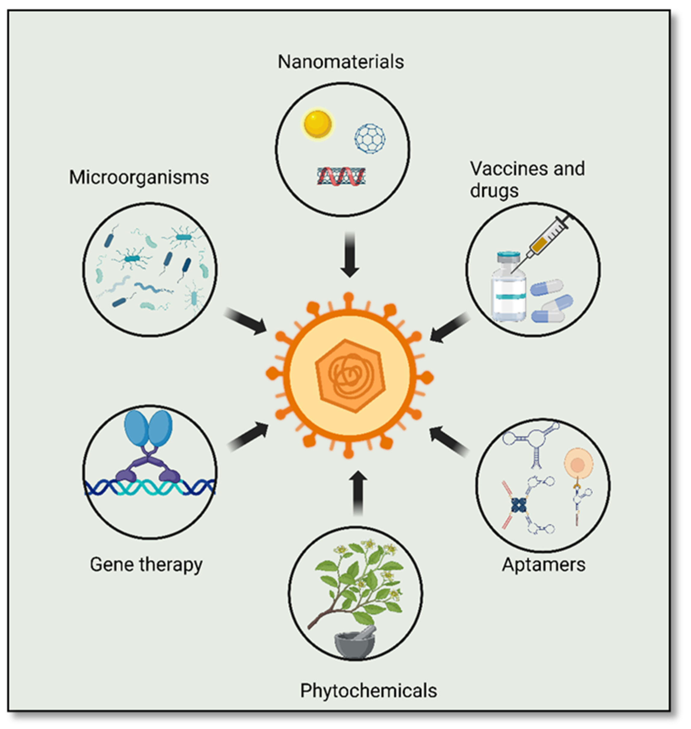 Viruses 15 02195 g004