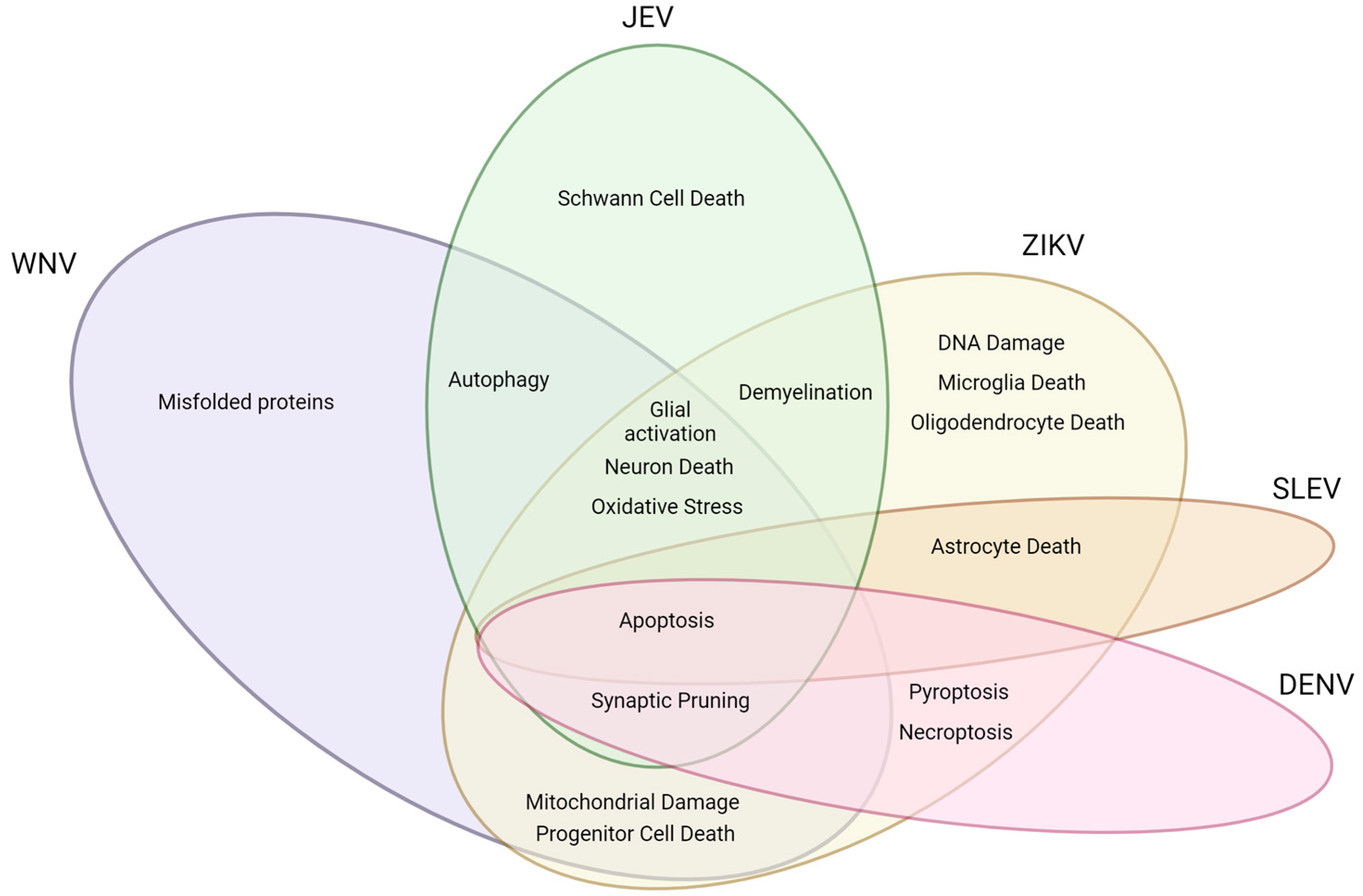 Viruses 15 02200 g002 Viruses 15 02200 g002