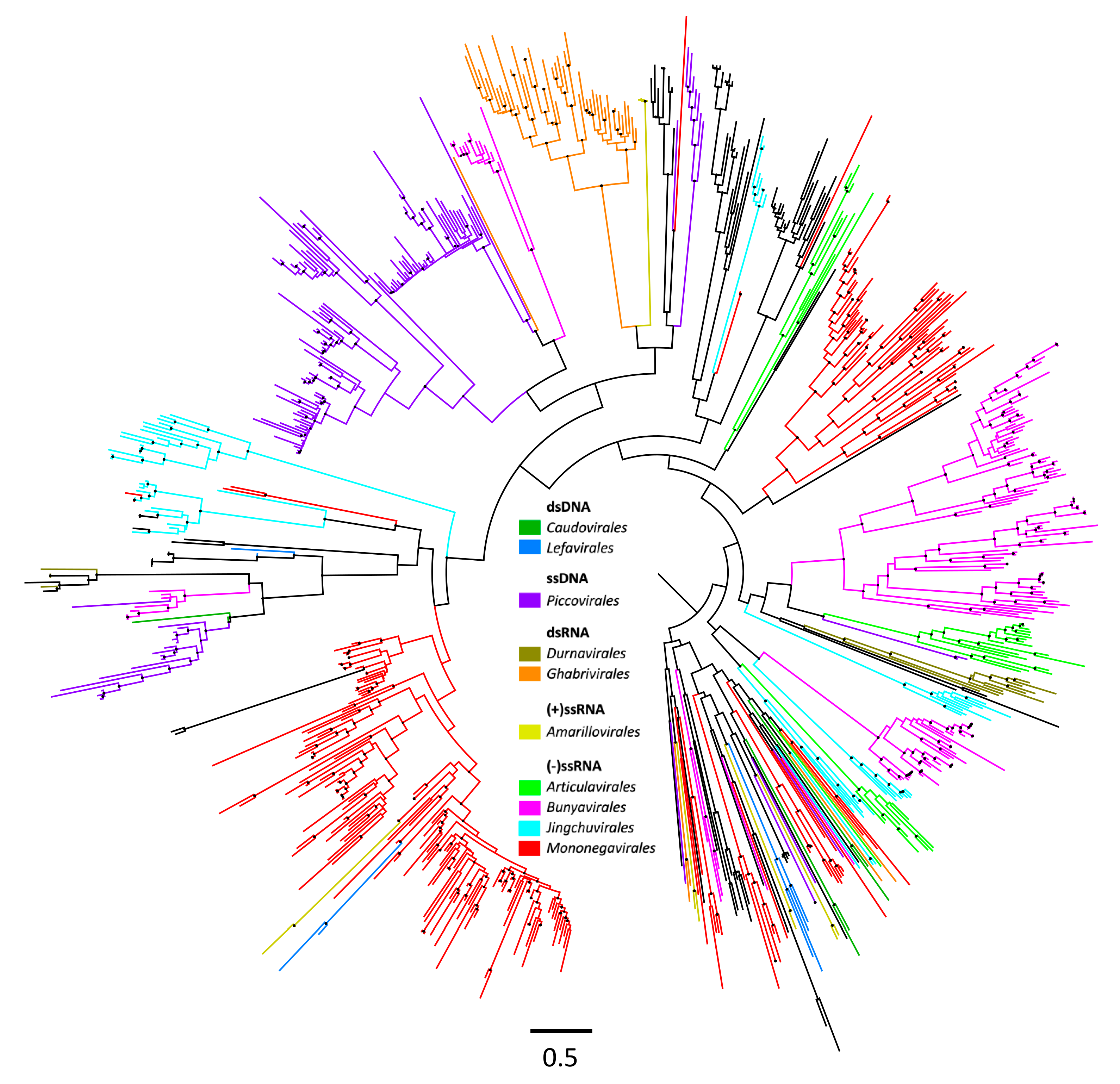 Viruses 15 02201 g002