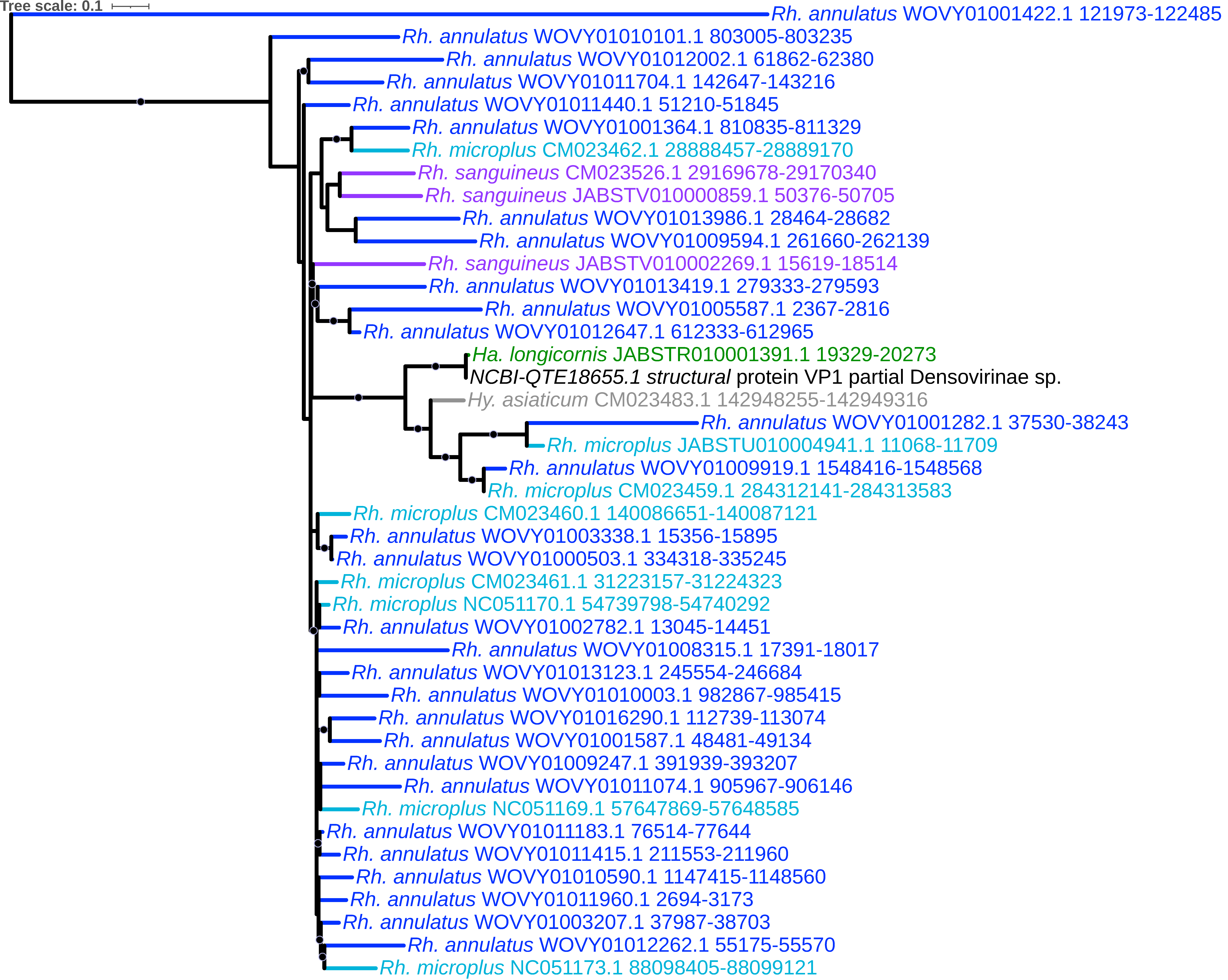 Viruses 15 02201 g004