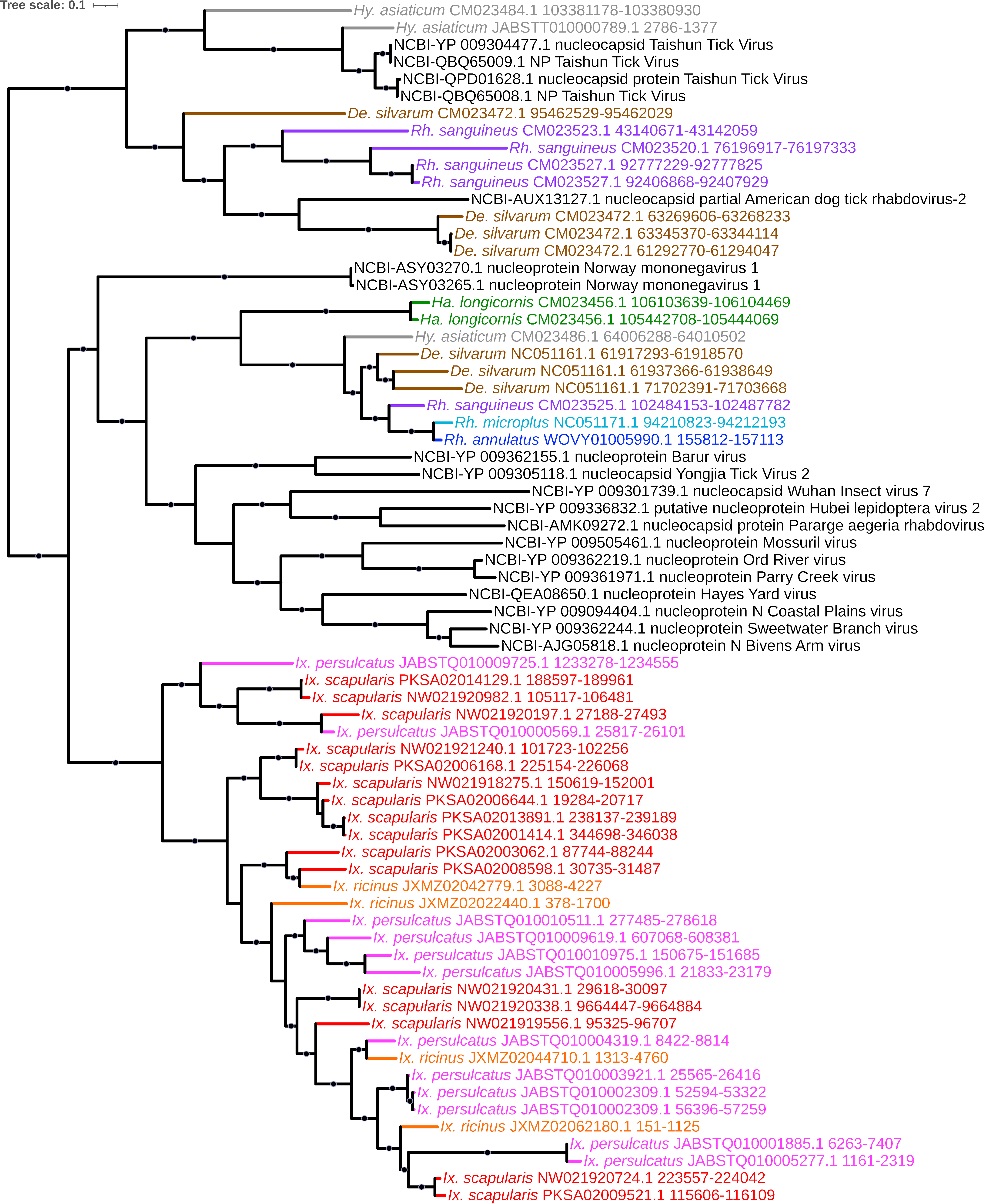 Viruses 15 02201 g005