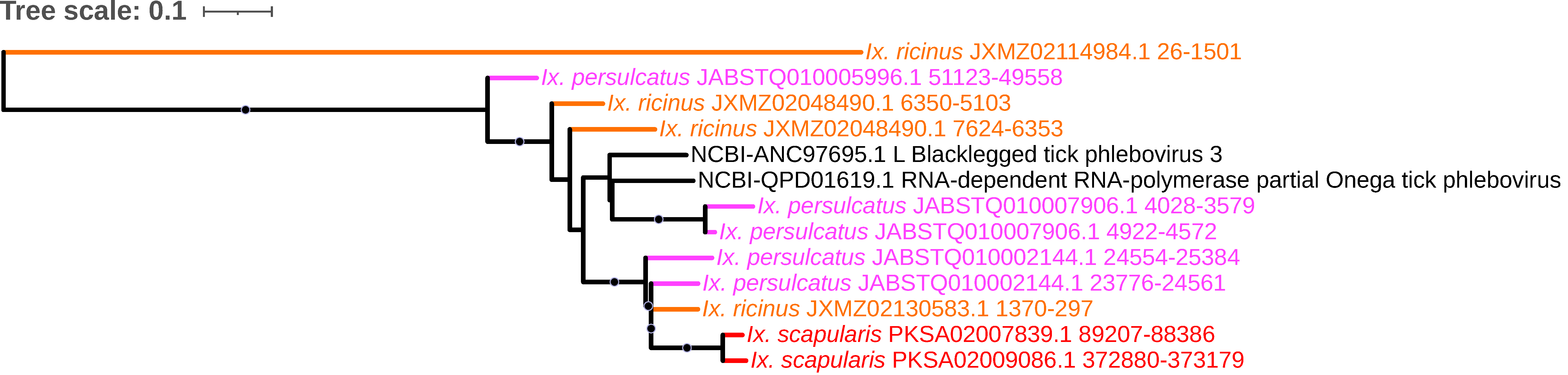 Viruses 15 02201 g009