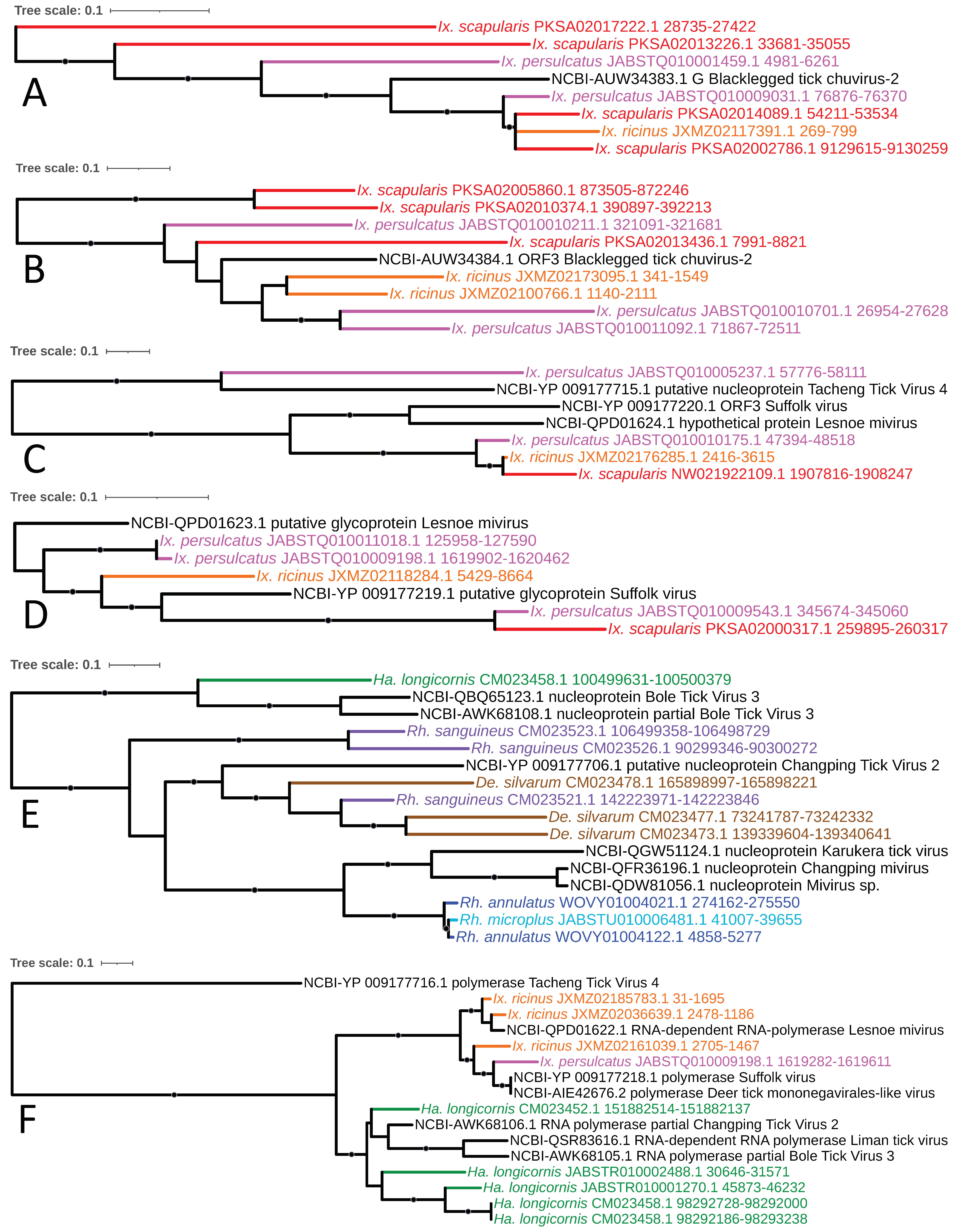 Viruses 15 02201 g010