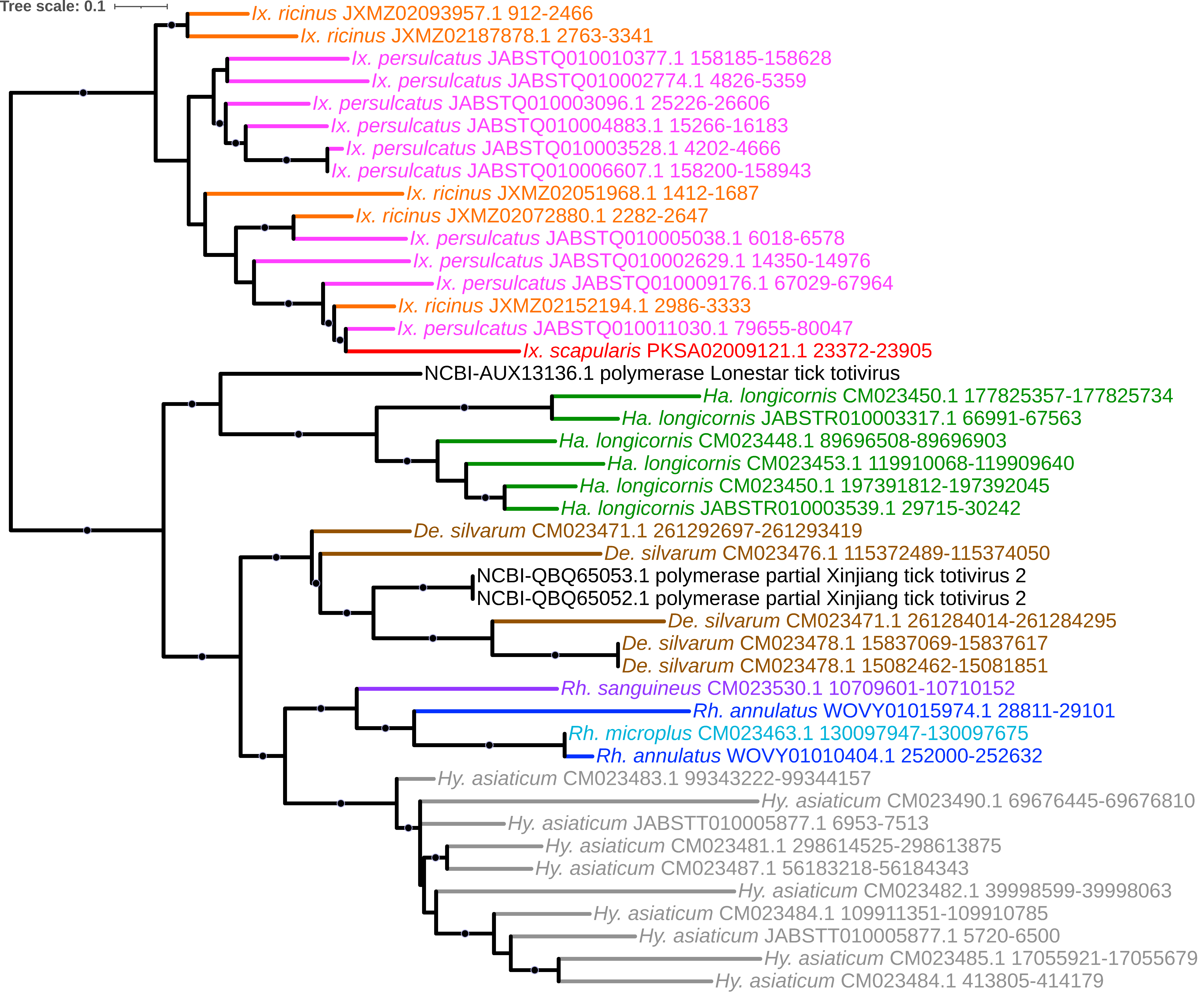 Viruses 15 02201 g011