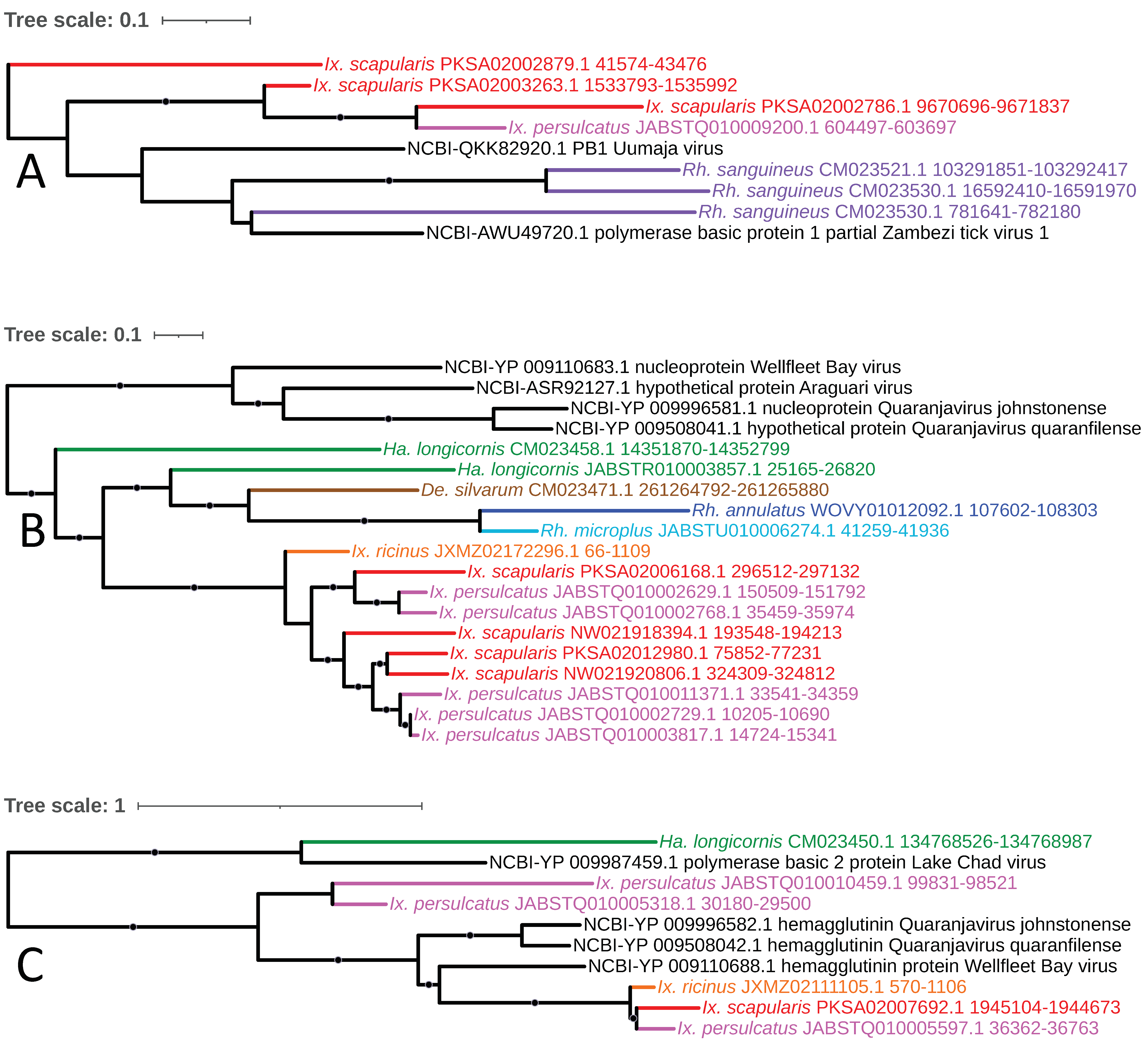 Viruses 15 02201 g012