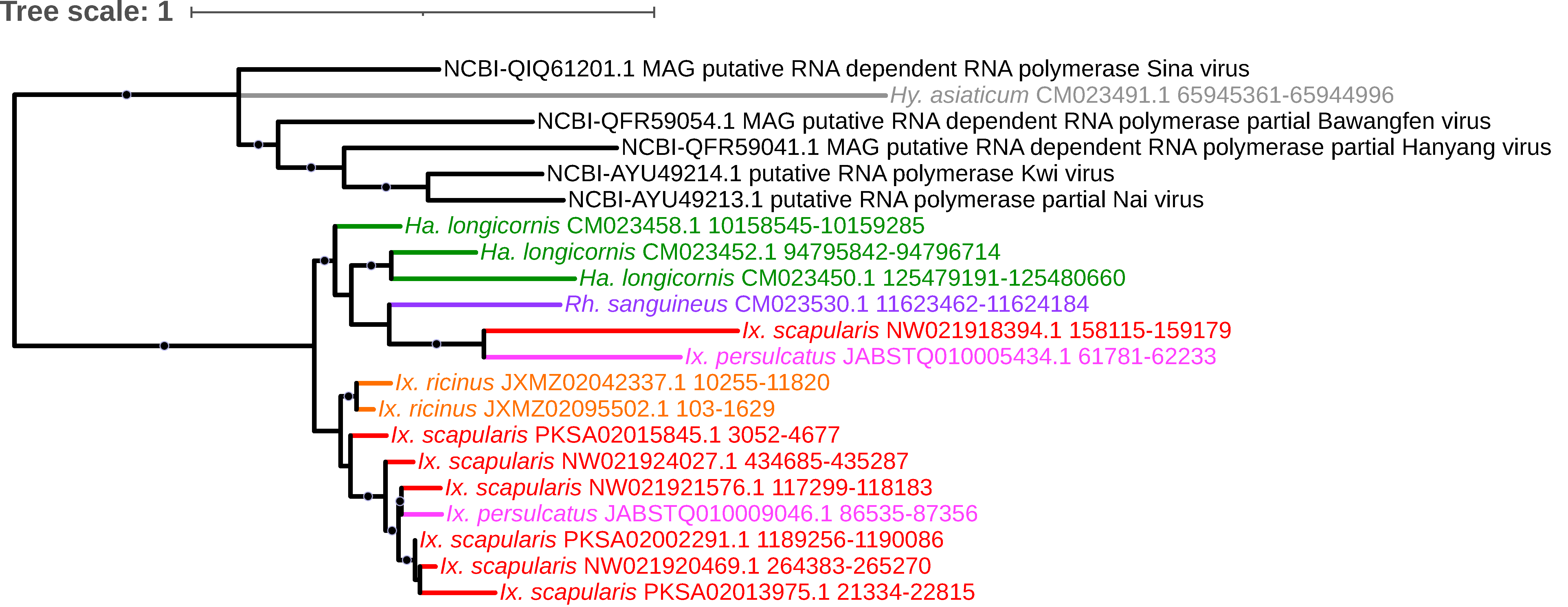 Viruses 15 02201 g013
