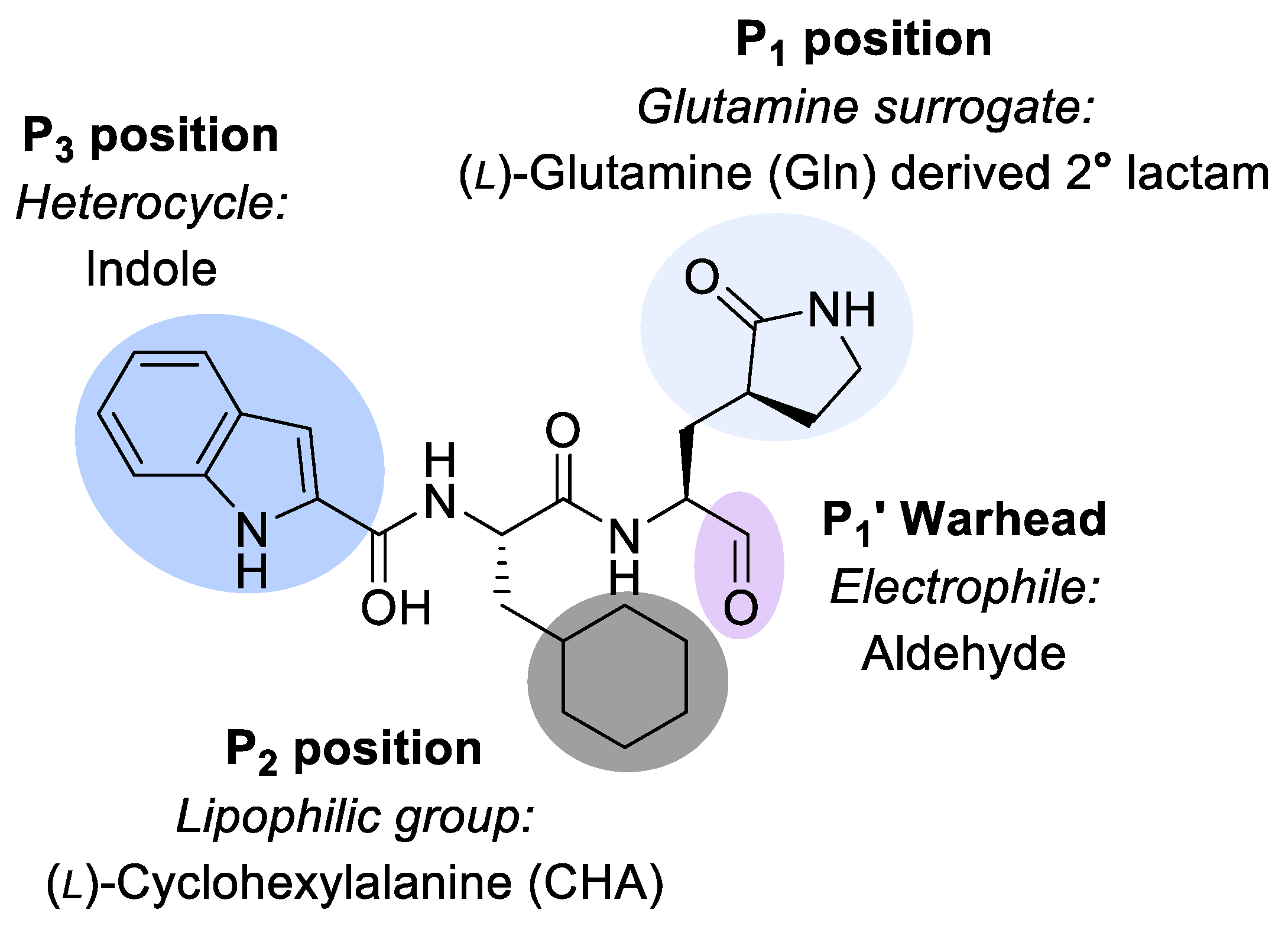 Viruses 15 02202 g001