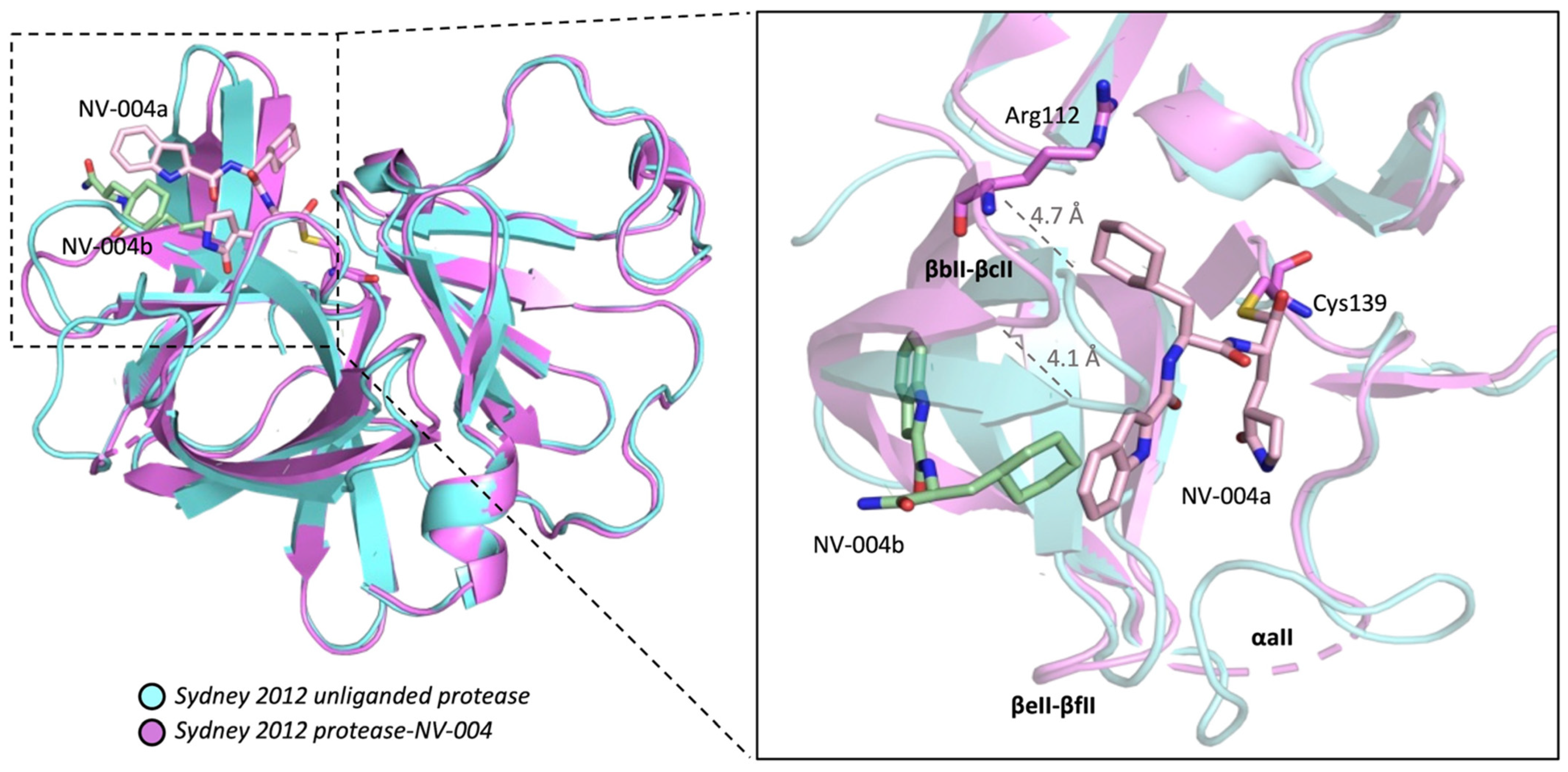 Viruses 15 02202 g006
