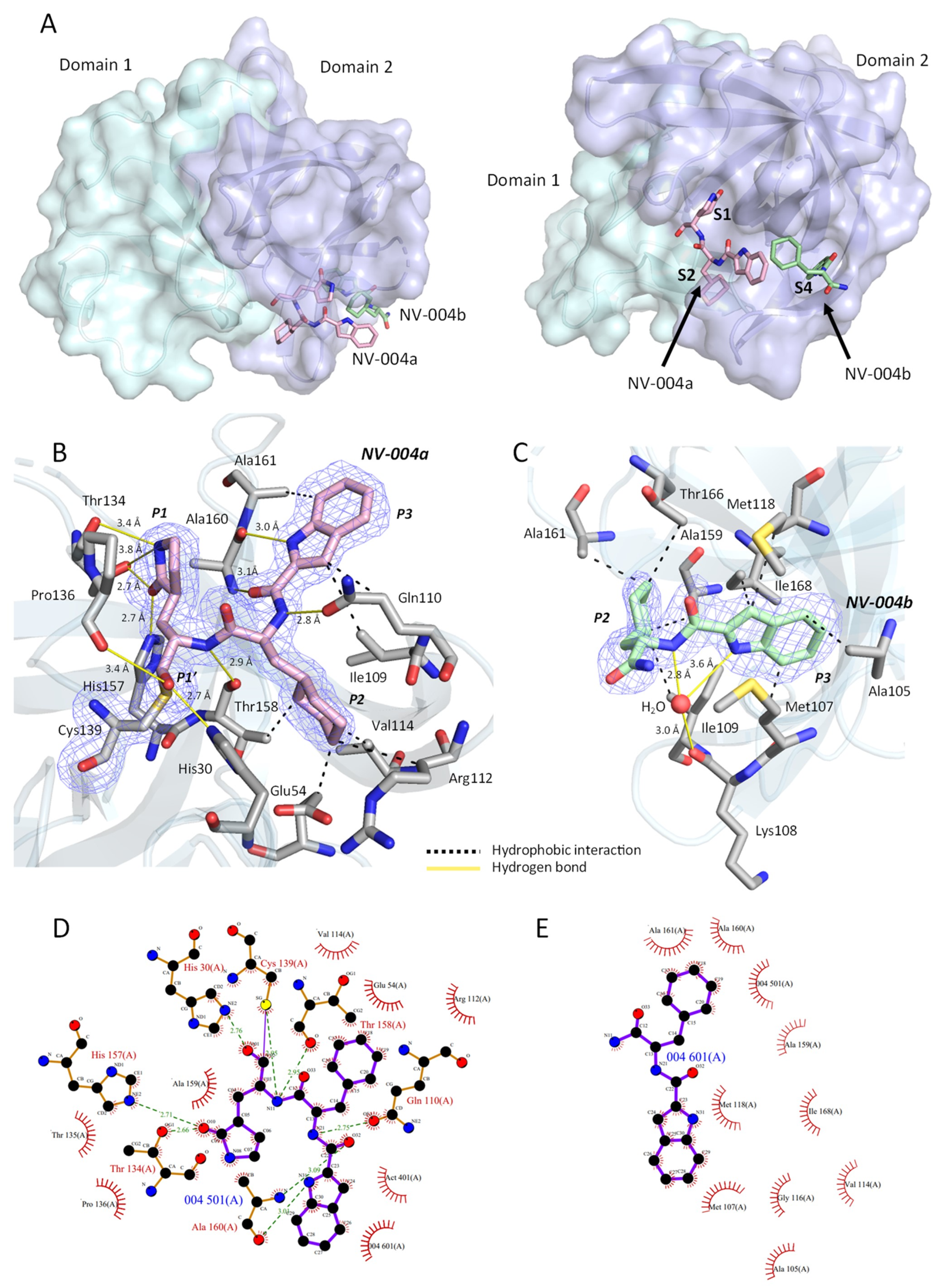 Viruses 15 02202 g007