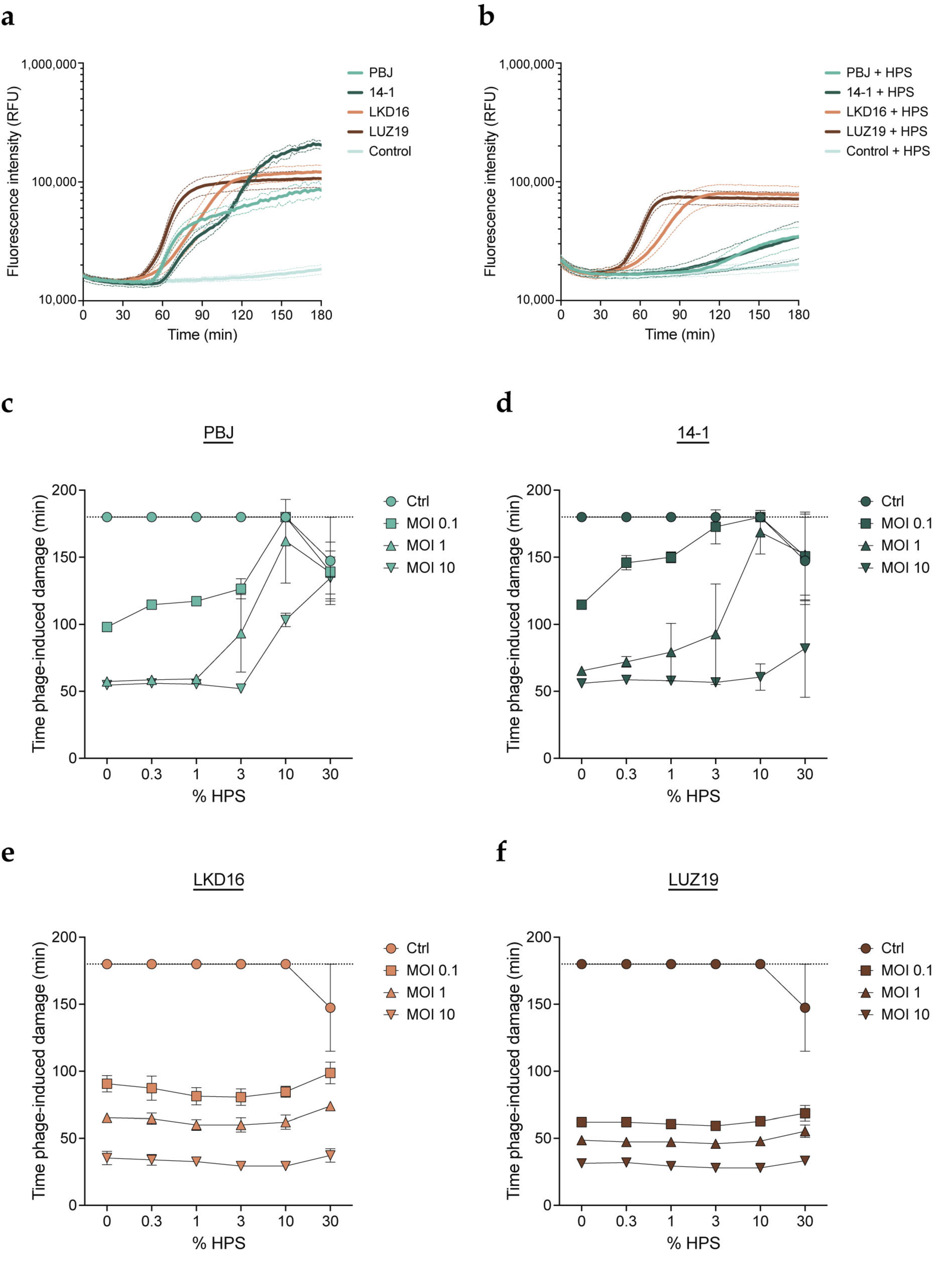 Viruses 15 02211 g001