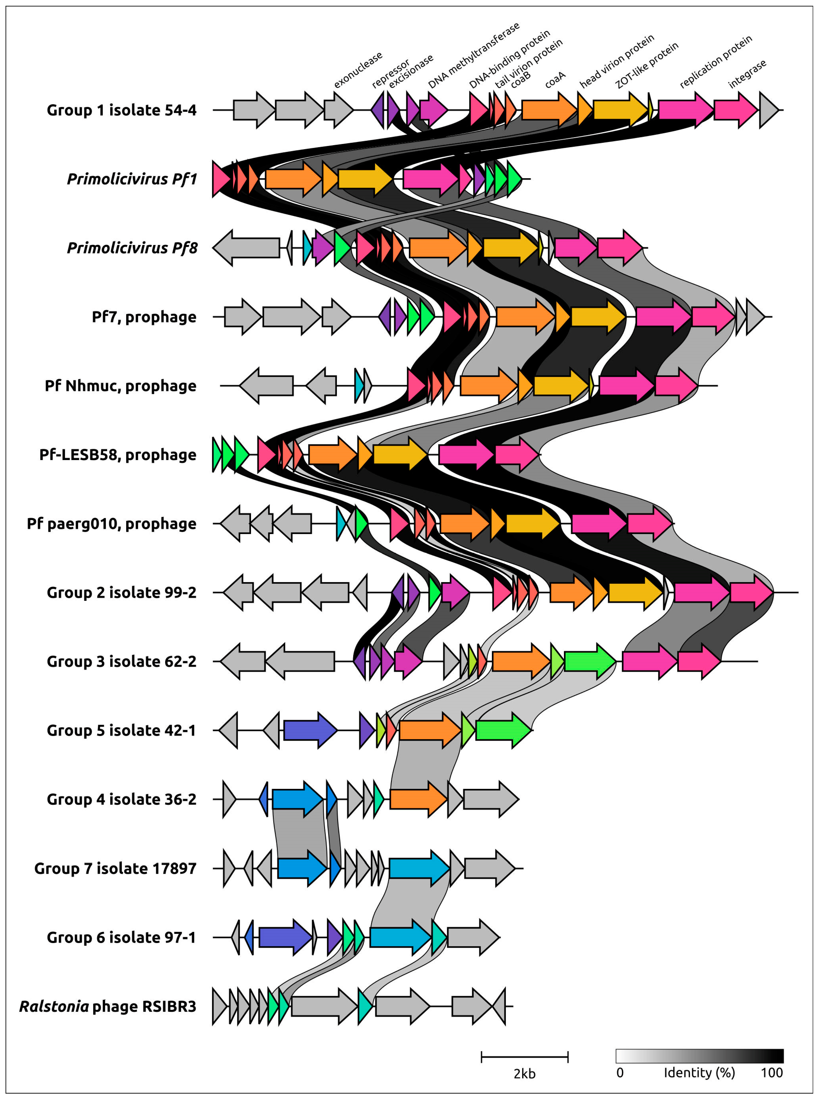 Viruses 15 02215 g002
