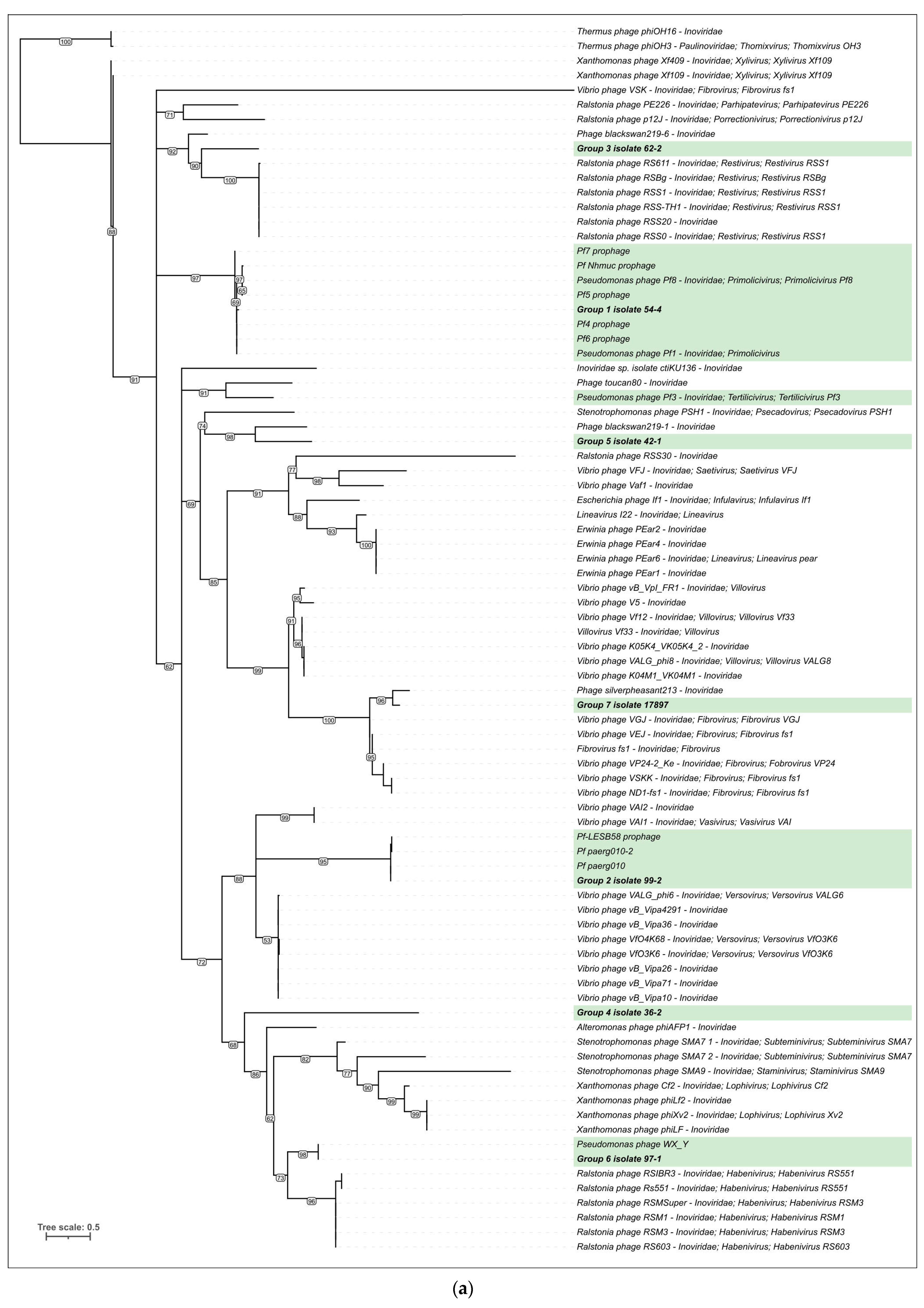Viruses 15 02215 g004a