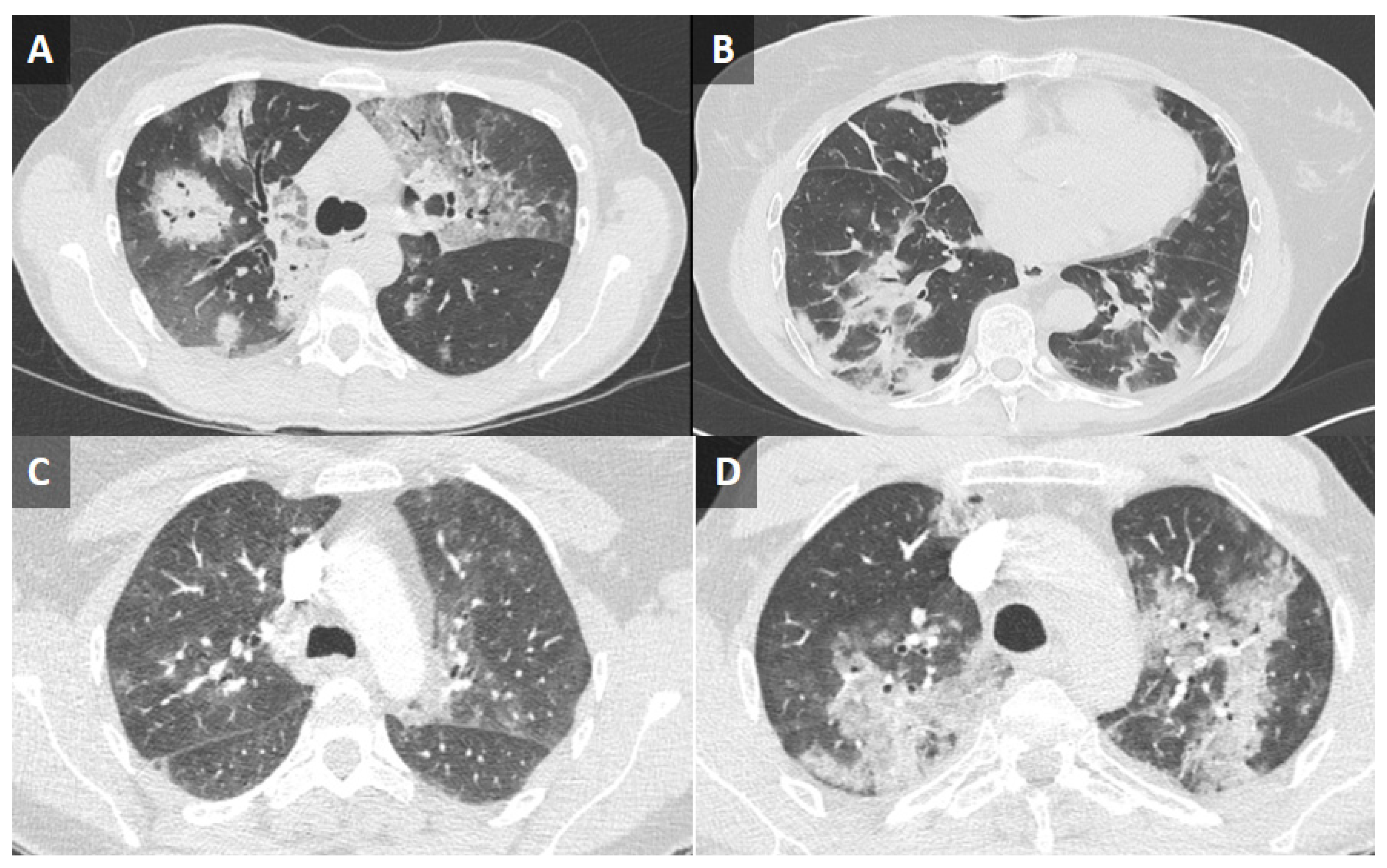 Viruses 15 02220 g002