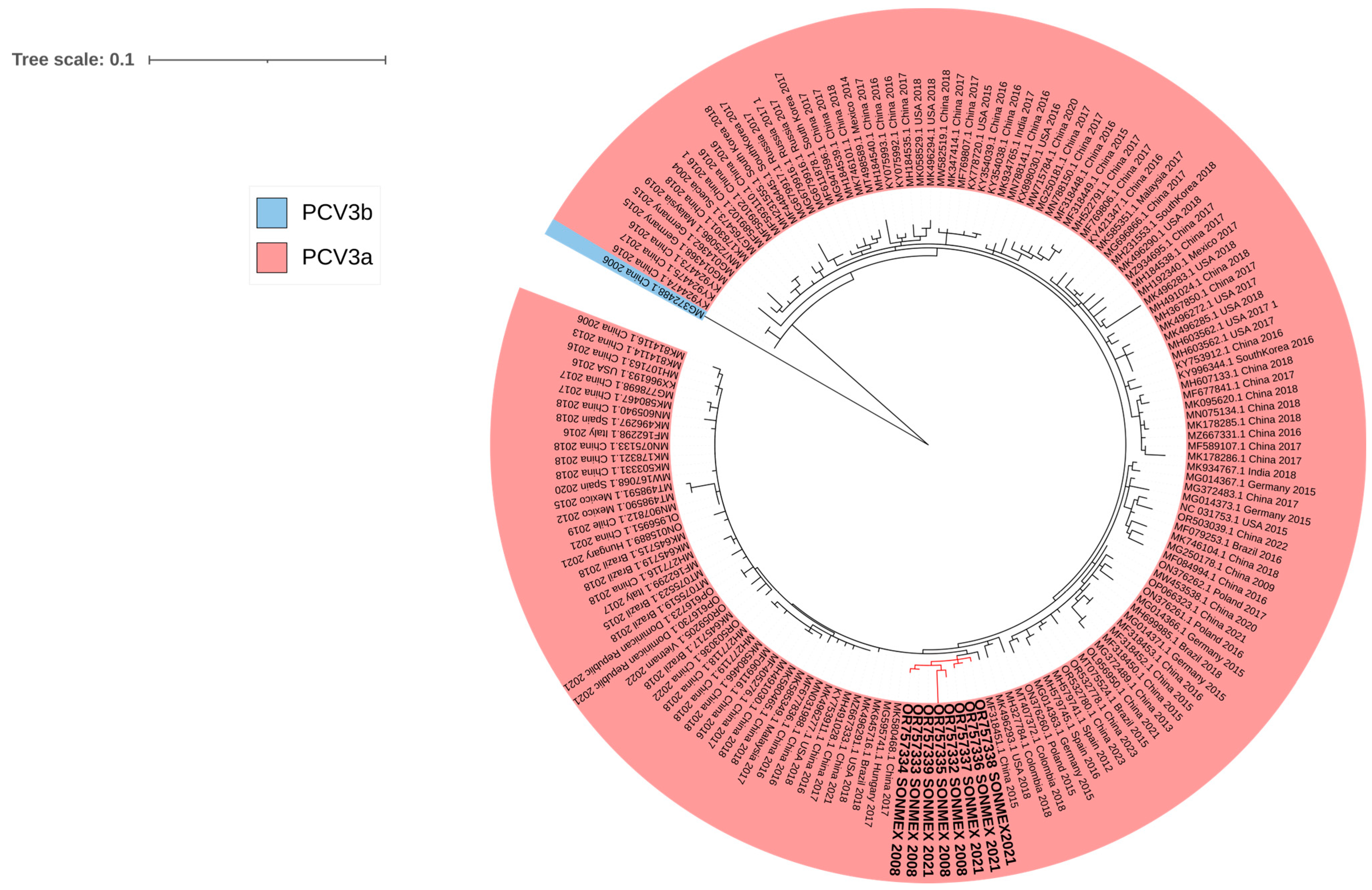 Viruses 15 02225 g001