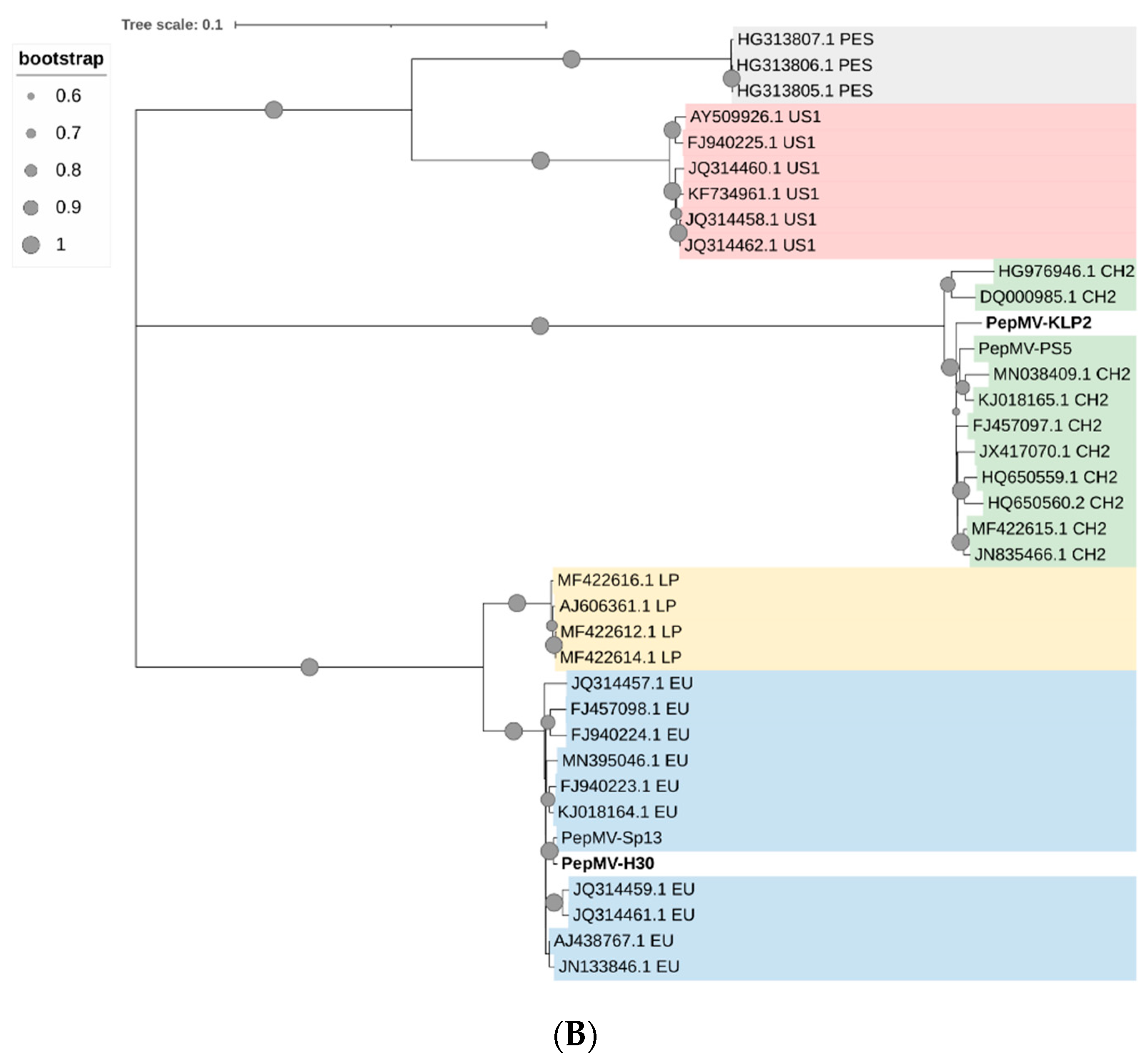 Viruses 15 02230 g002b Viruses 15 02230 g002b