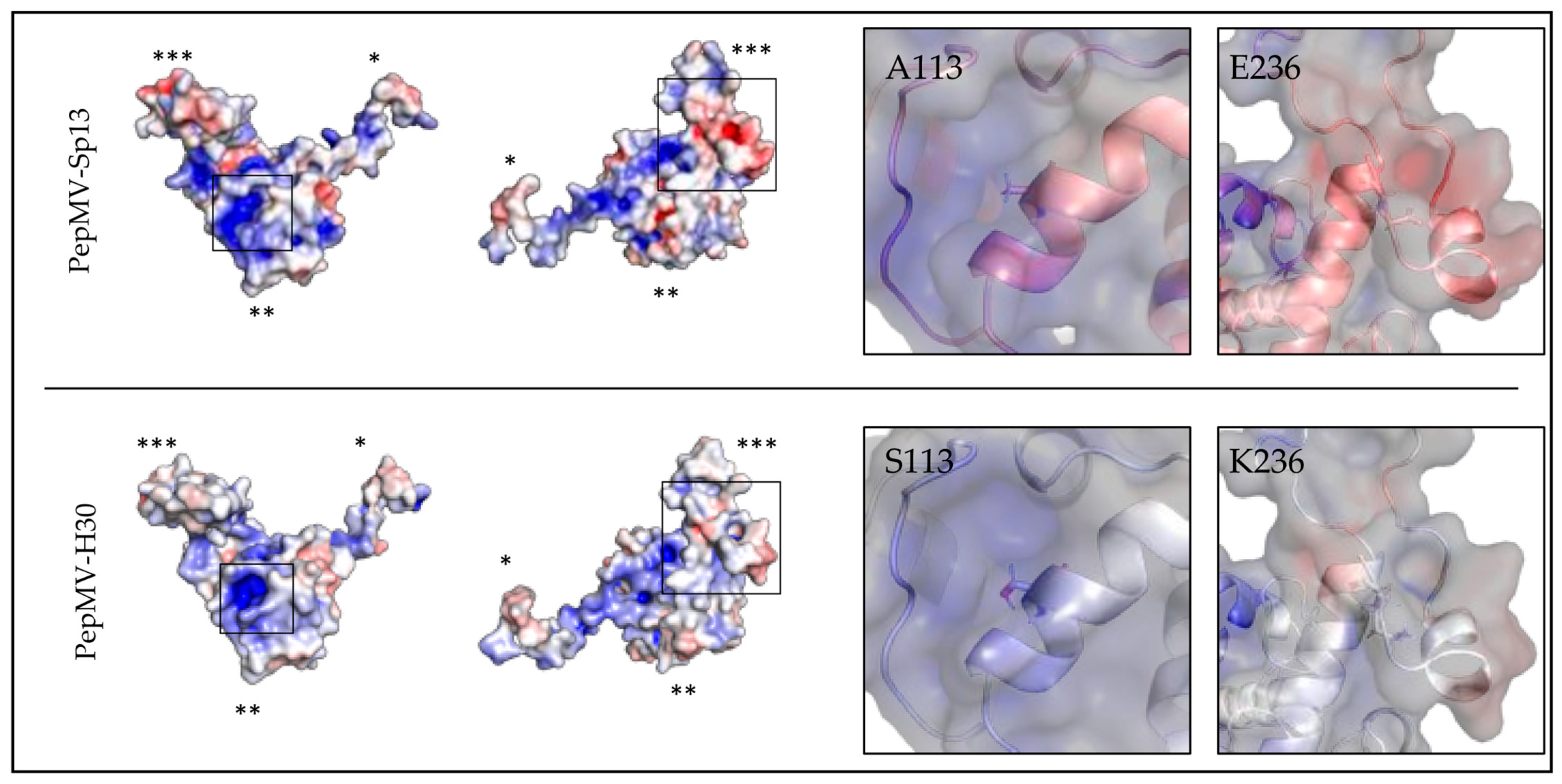 Viruses 15 02230 g004 Viruses 15 02230 g004