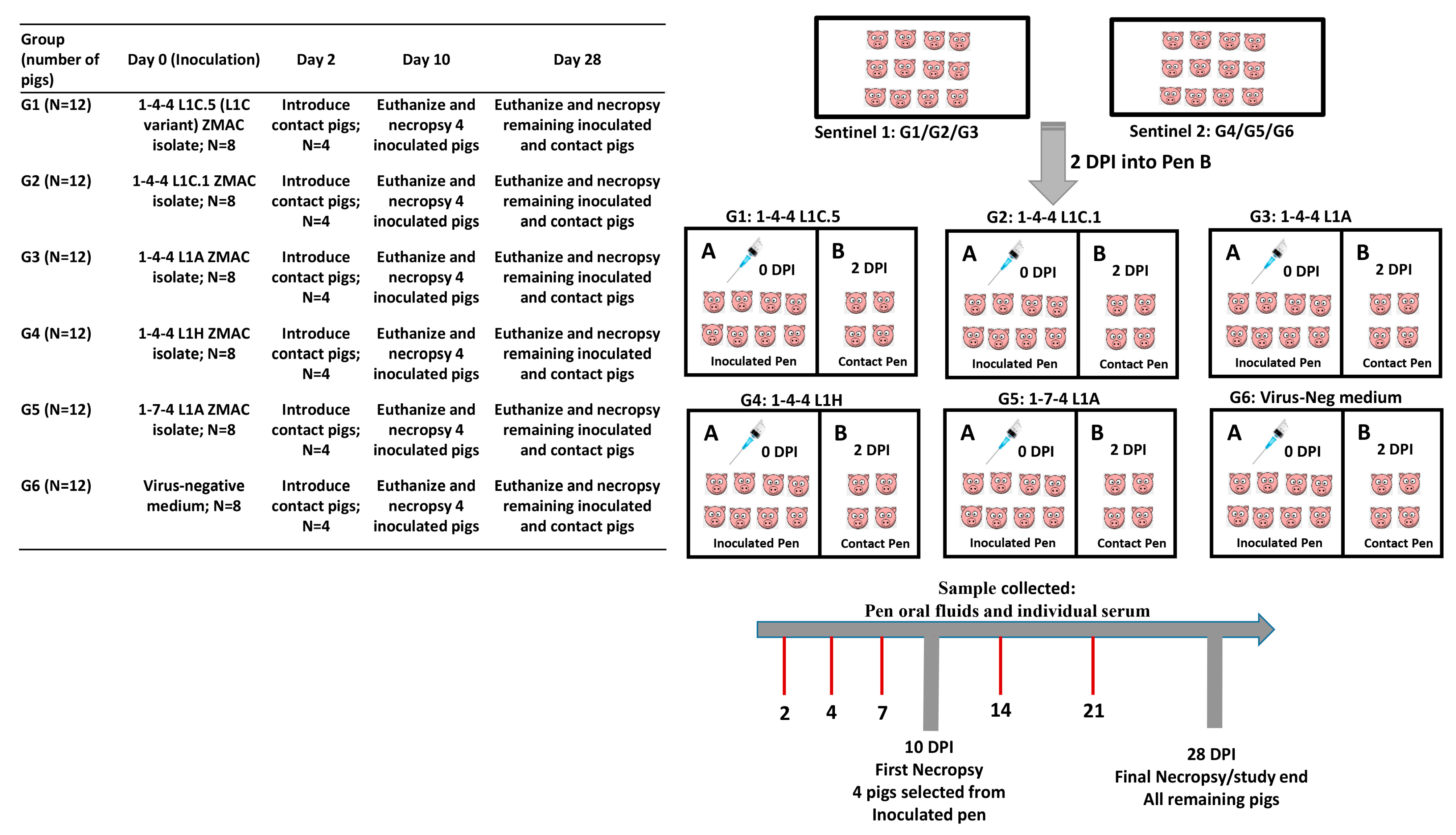 Viruses 15 02233 g002