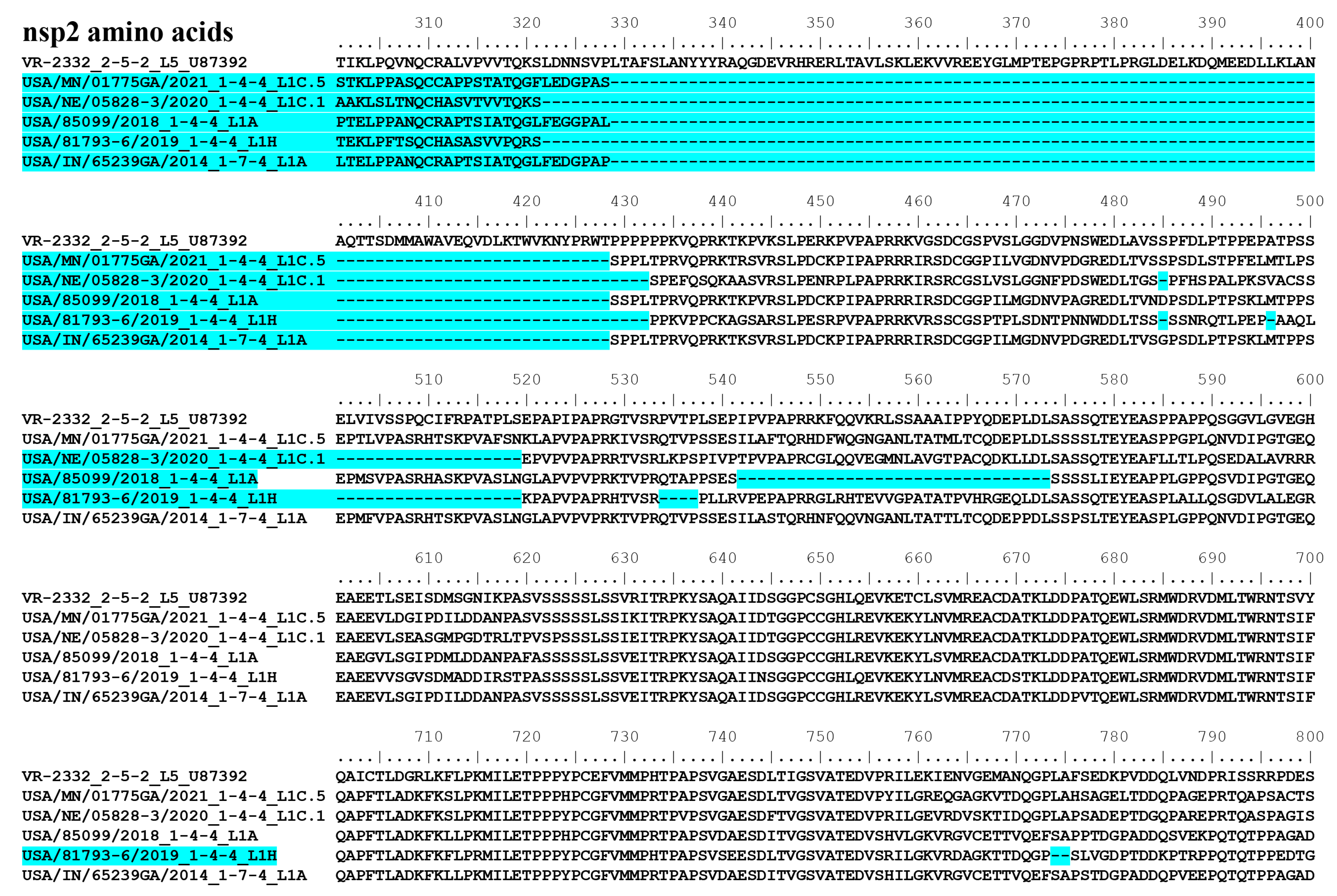 Viruses 15 02233 g012